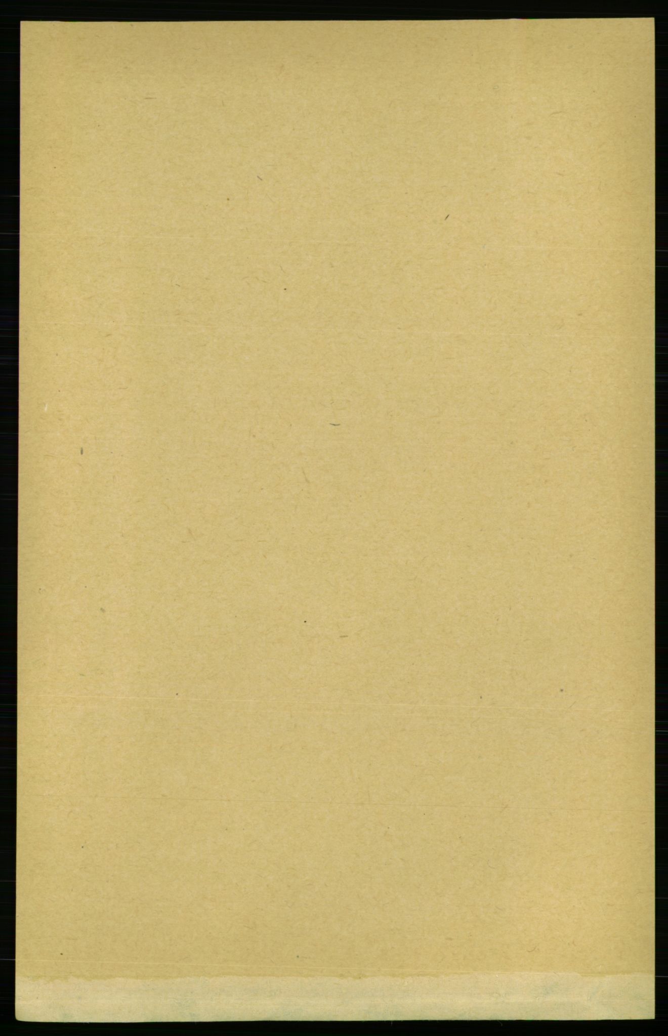 RA, Folketelling 1891 for 1640 Røros herred, 1891, s. 1372