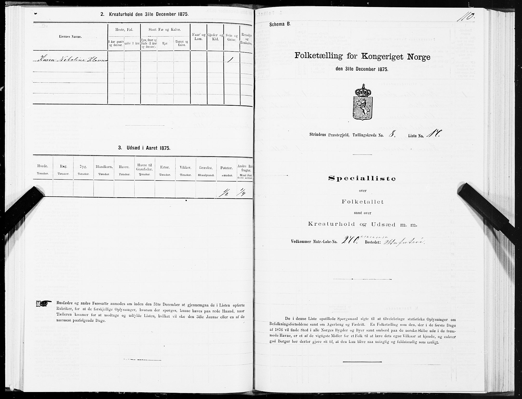 SAT, Folketelling 1875 for 1660P Strinda prestegjeld, 1875, s. 4110