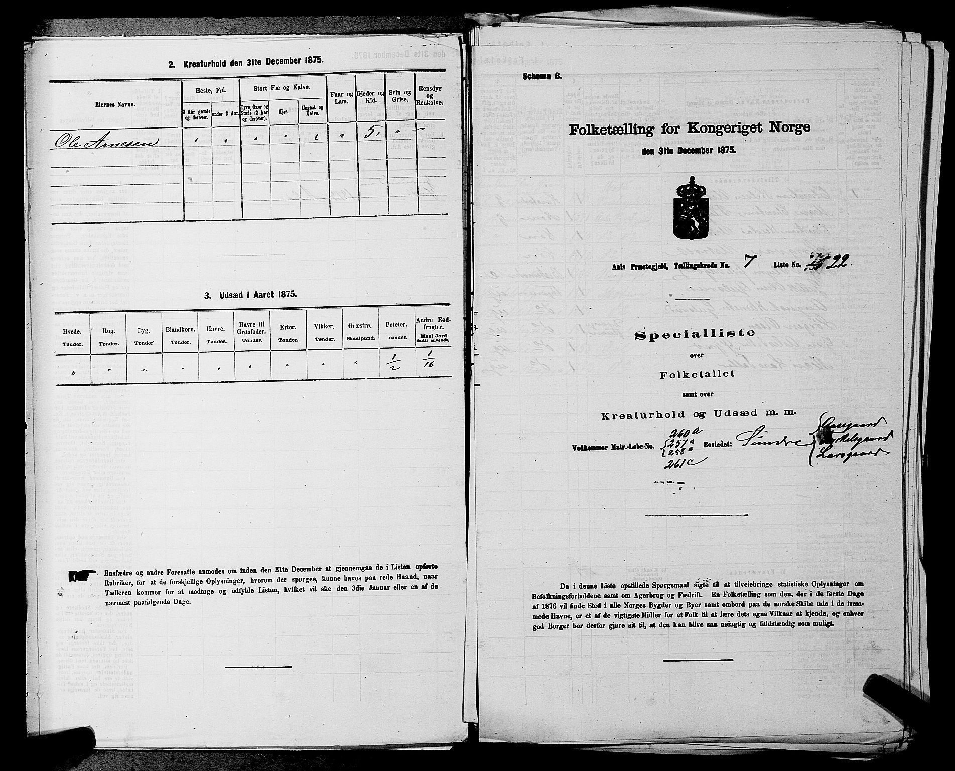 SAKO, Folketelling 1875 for 0619P Ål prestegjeld, 1875, s. 878