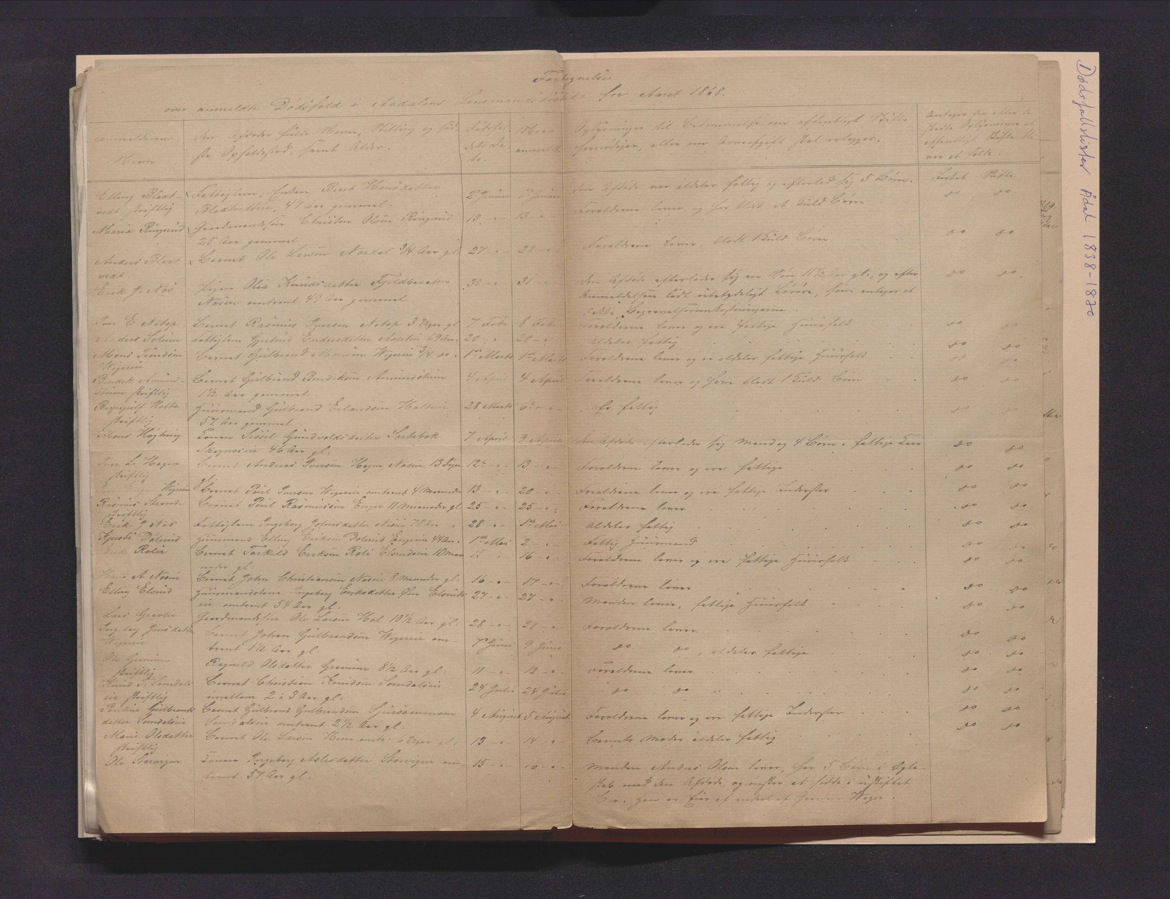 Ringerike sorenskriveri, AV/SAKO-A-105/H/Ha/Hab/L0001: Dødsfallslister Ådal, 1838-1896