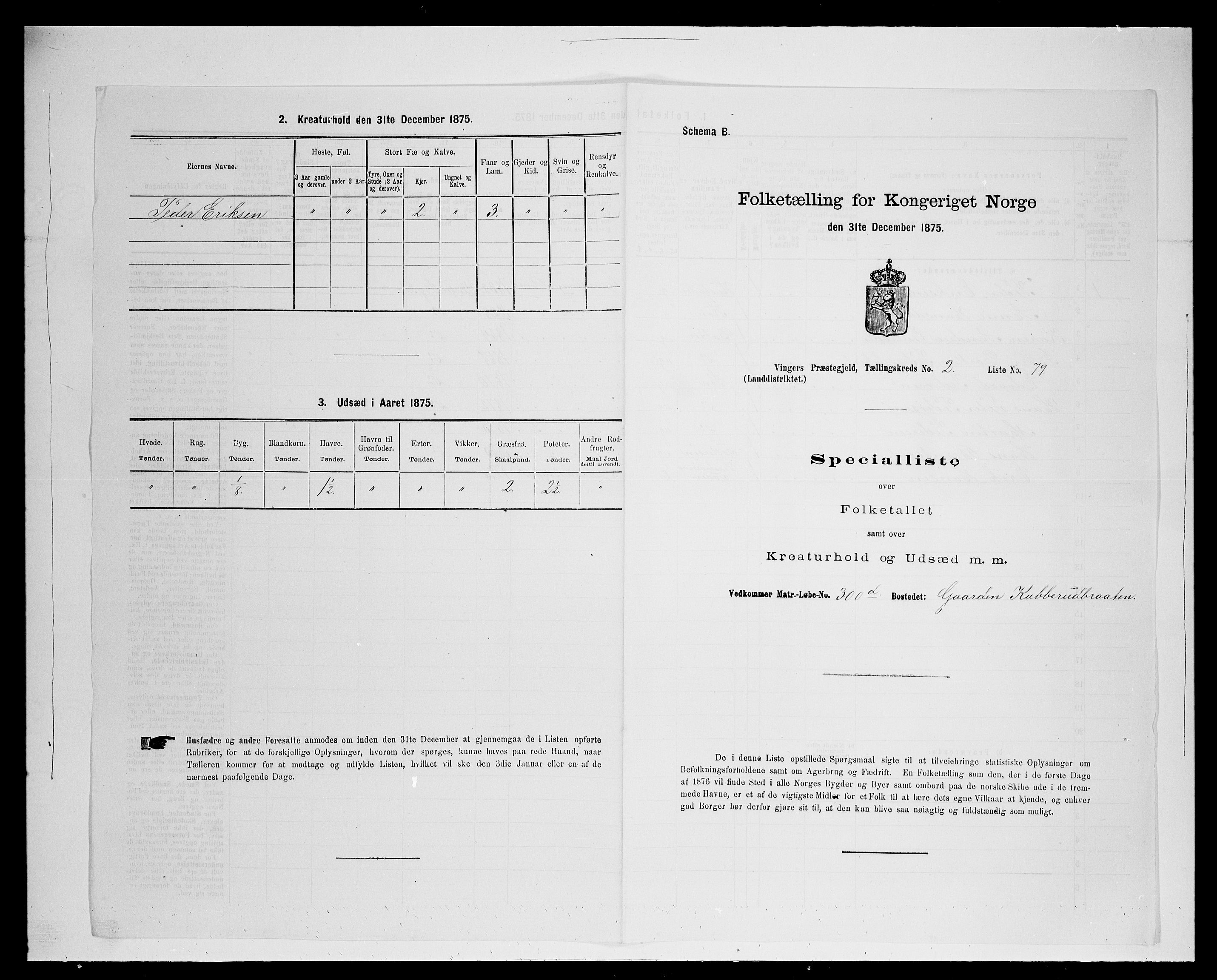 SAH, Folketelling 1875 for 0421L Vinger prestegjeld, Vinger sokn og Austmarka sokn, 1875, s. 378