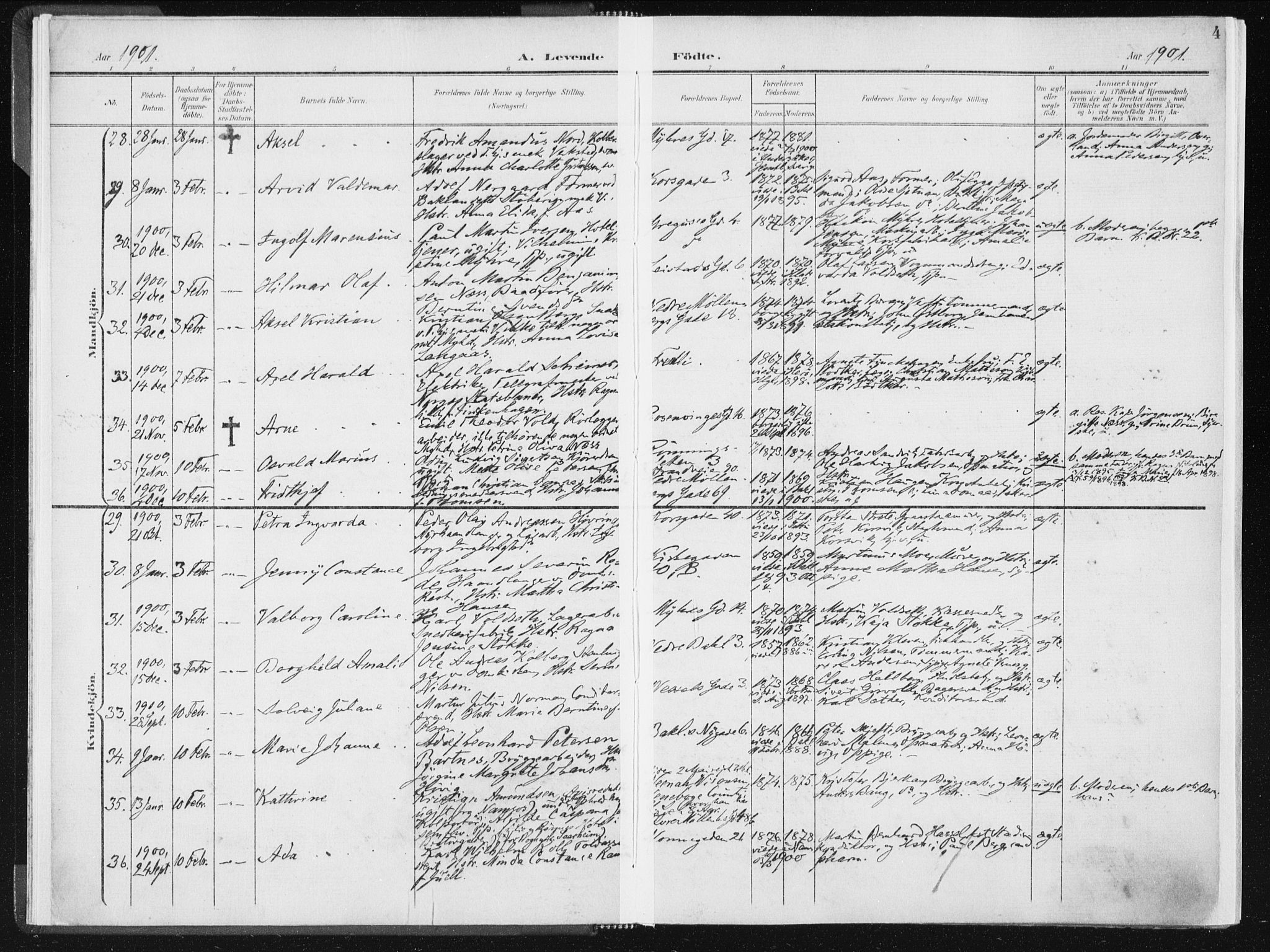 Ministerialprotokoller, klokkerbøker og fødselsregistre - Sør-Trøndelag, SAT/A-1456/604/L0199: Ministerialbok nr. 604A20I, 1901-1906, s. 4