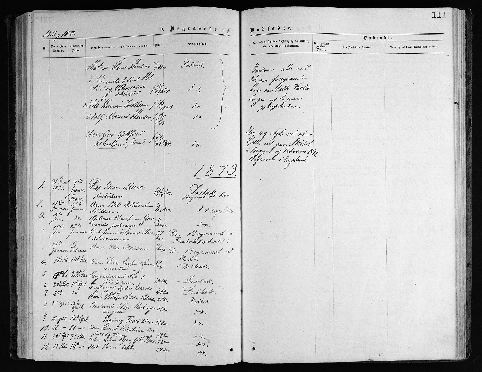 Drøbak prestekontor Kirkebøker, AV/SAO-A-10142a/F/Fa/L0003: Ministerialbok nr. I 3, 1871-1877, s. 111