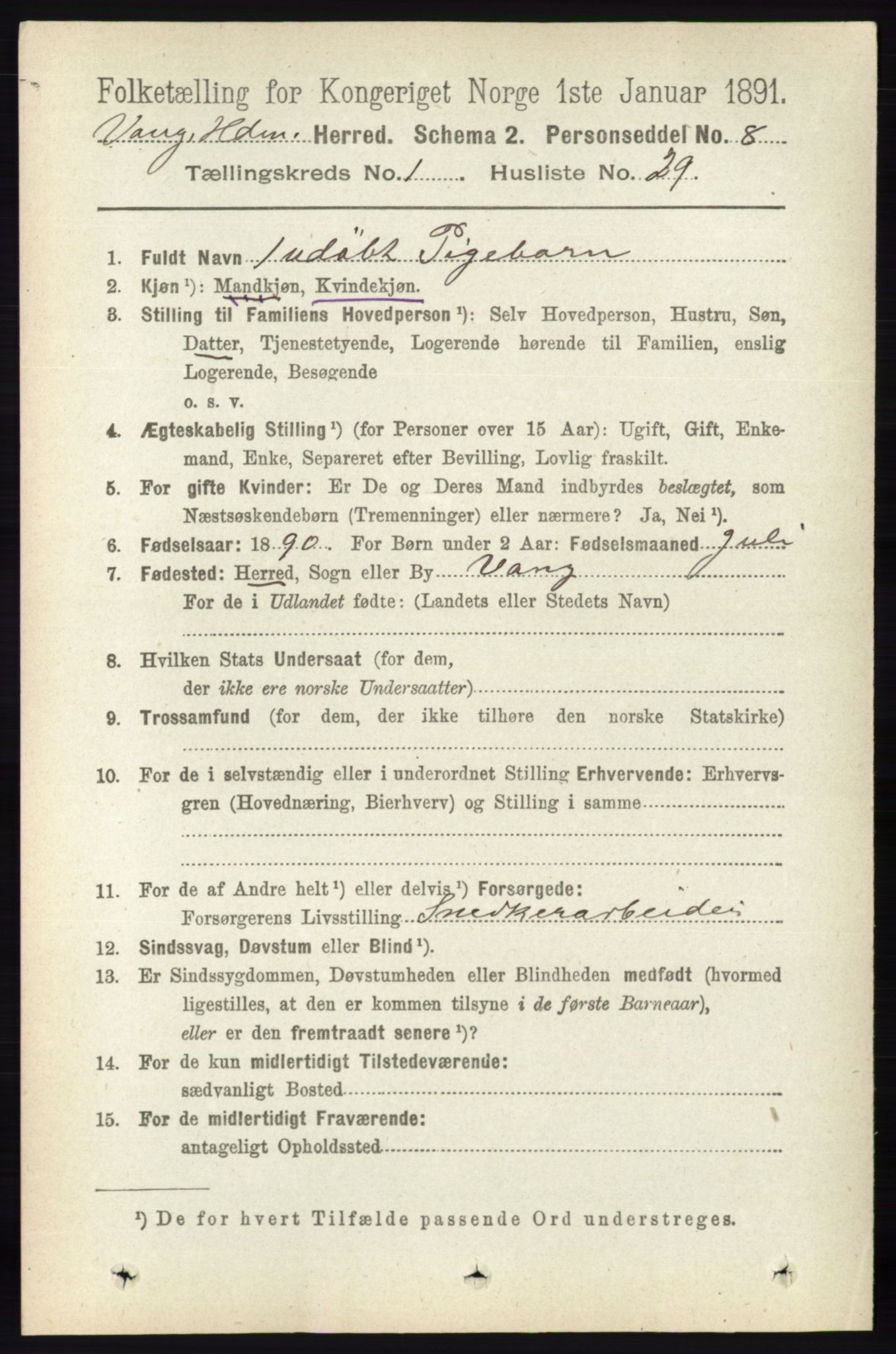 RA, Folketelling 1891 for 0414 Vang herred, 1891, s. 365