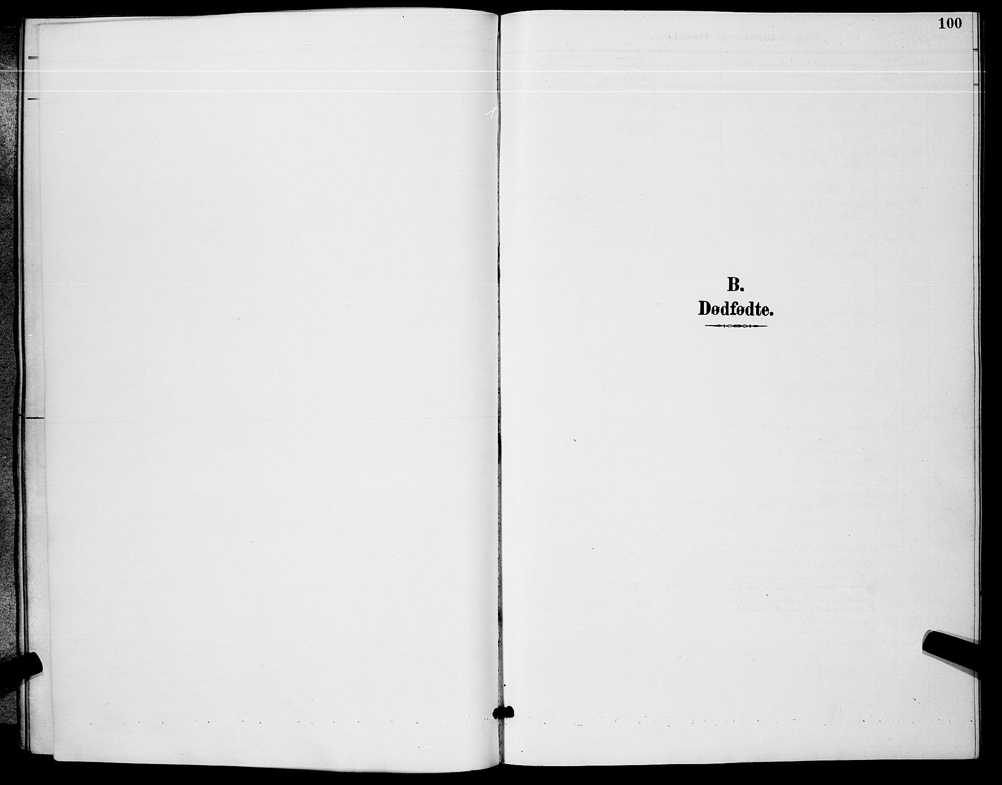 Kongsberg kirkebøker, SAKO/A-22/G/Ga/L0006: Klokkerbok nr. 6, 1890-1901, s. 100