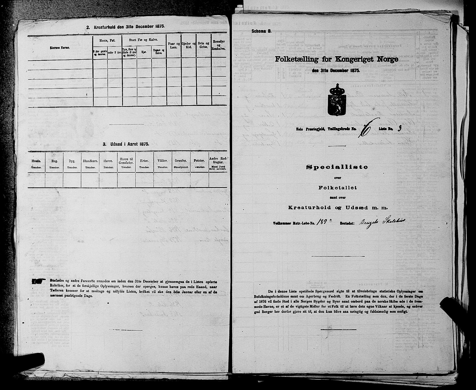 SAKO, Folketelling 1875 for 0612P Hole prestegjeld, 1875, s. 1124