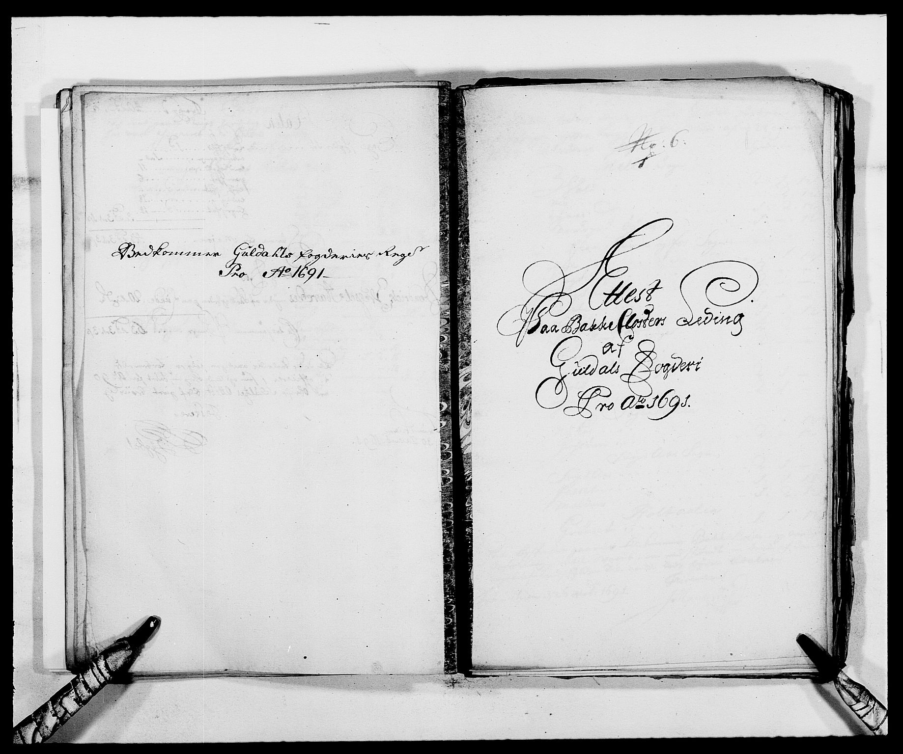 Rentekammeret inntil 1814, Reviderte regnskaper, Fogderegnskap, AV/RA-EA-4092/R59/L3941: Fogderegnskap Gauldal, 1691, s. 193