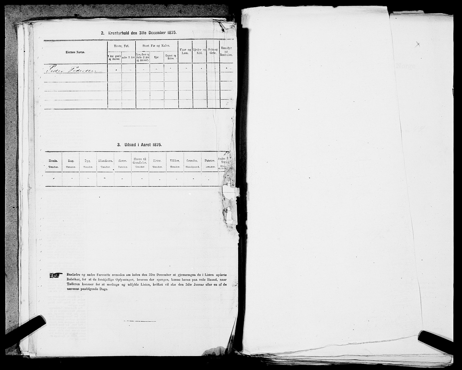 SAST, Folketelling 1875 for 1124P Håland prestegjeld, 1875, s. 533