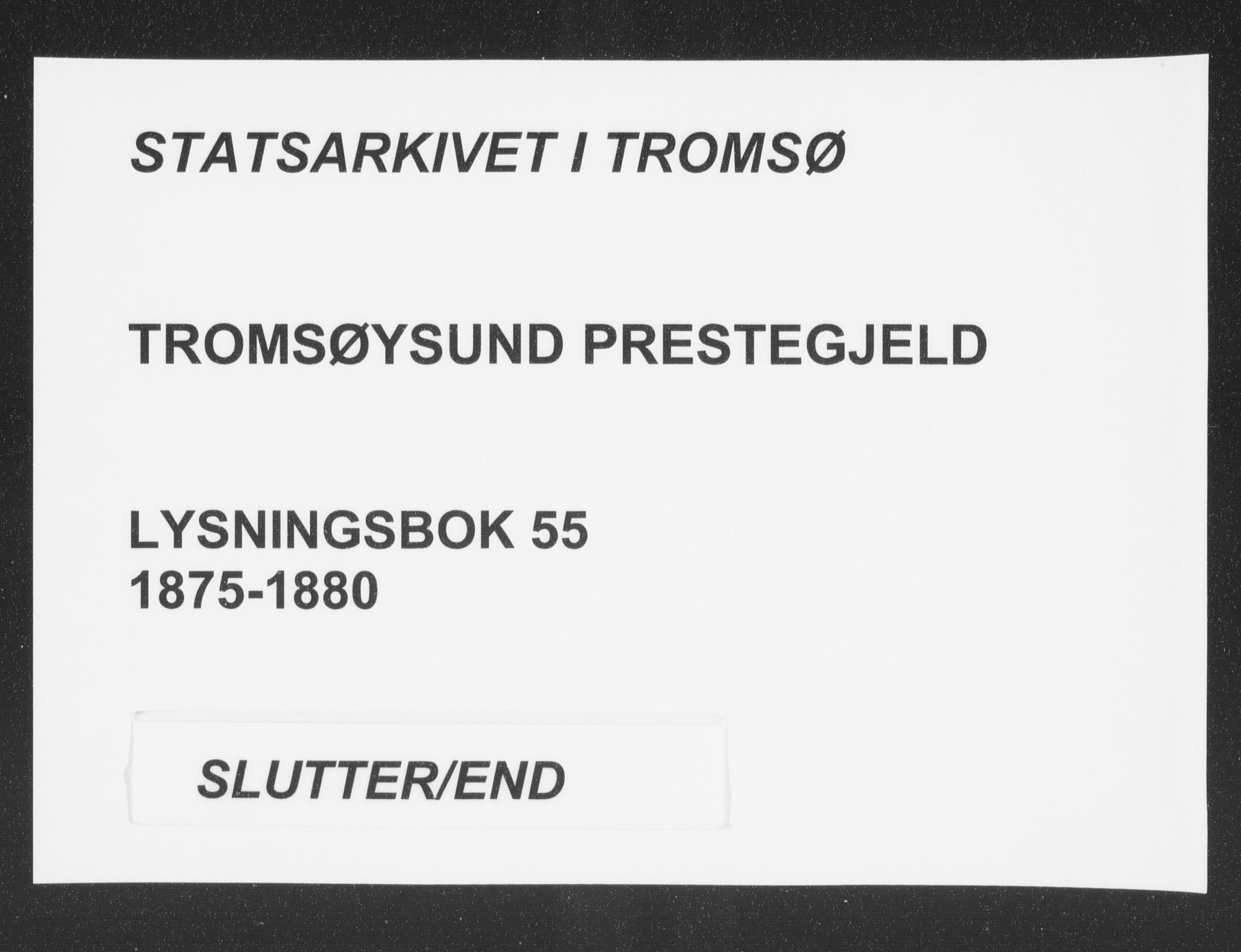 Tromsøysund sokneprestkontor, AV/SATØ-S-1304/H/Hc/L0055: Lysningsprotokoll nr. 55, 1875-1880