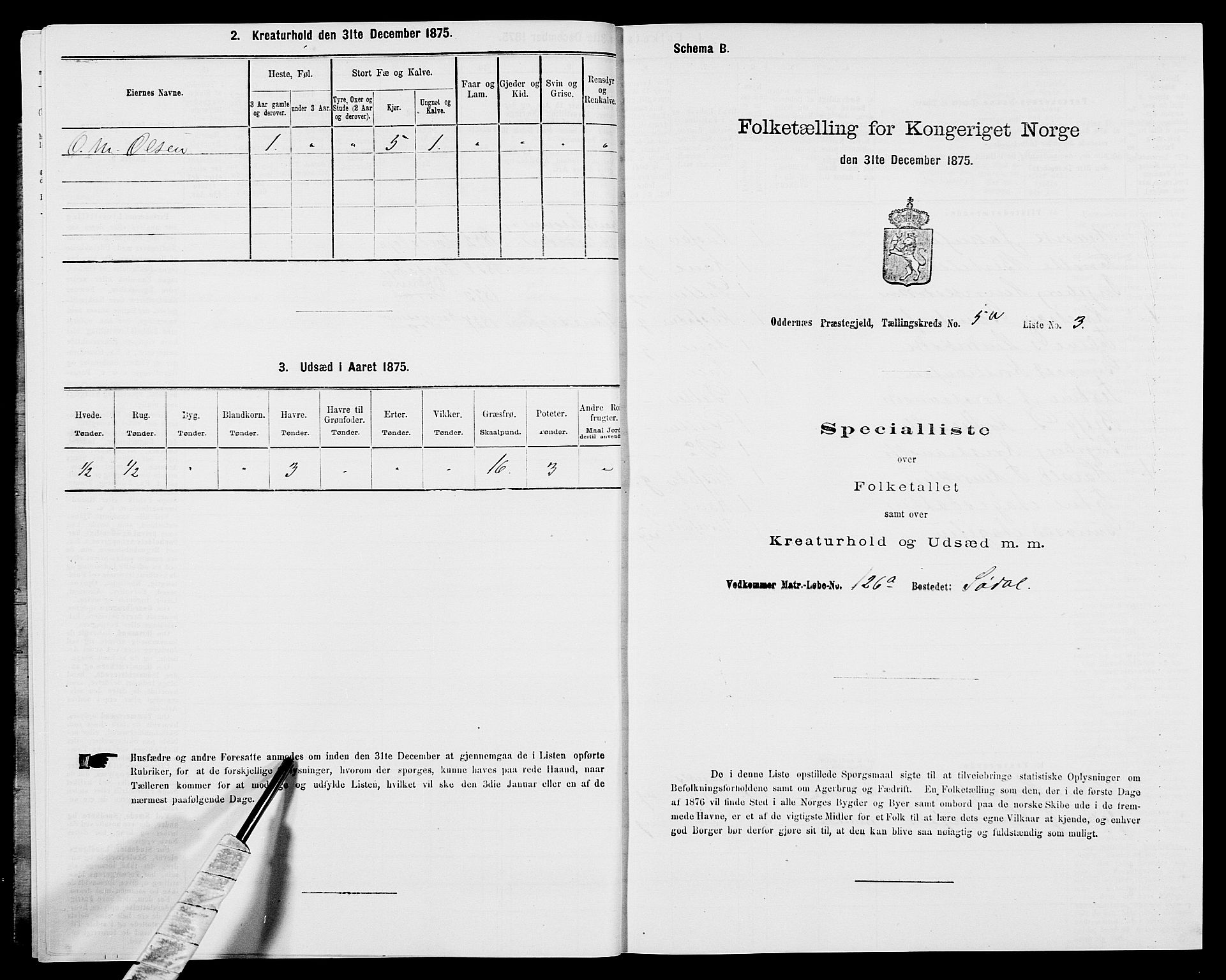 SAK, Folketelling 1875 for 1012P Oddernes prestegjeld, 1875, s. 729