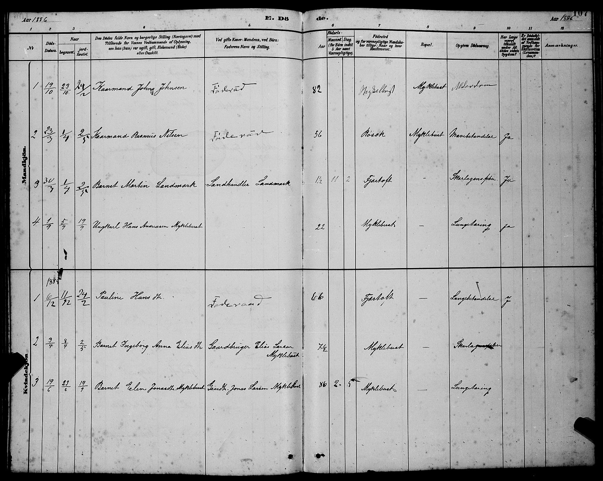 Ministerialprotokoller, klokkerbøker og fødselsregistre - Møre og Romsdal, AV/SAT-A-1454/538/L0523: Klokkerbok nr. 538C01, 1881-1900, s. 107