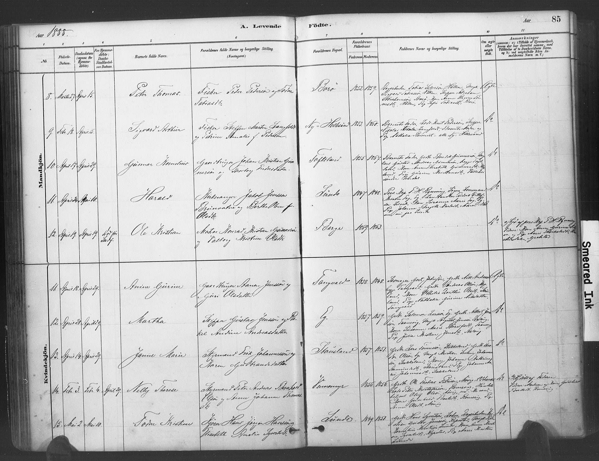 Søgne sokneprestkontor, SAK/1111-0037/F/Fa/Fab/L0012: Ministerialbok nr. A 12, 1880-1891, s. 85