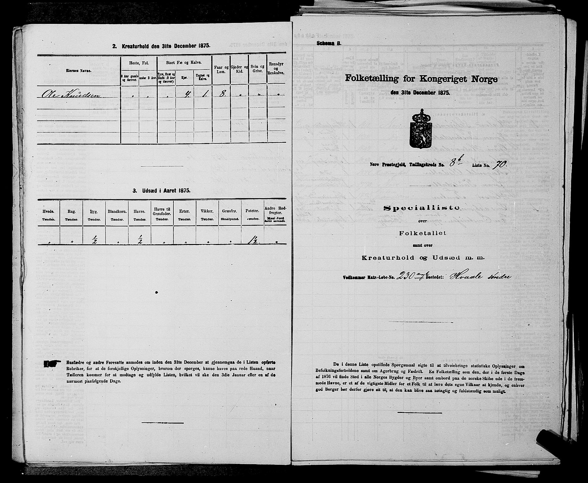 SAKO, Folketelling 1875 for 0633P Nore prestegjeld, 1875, s. 997