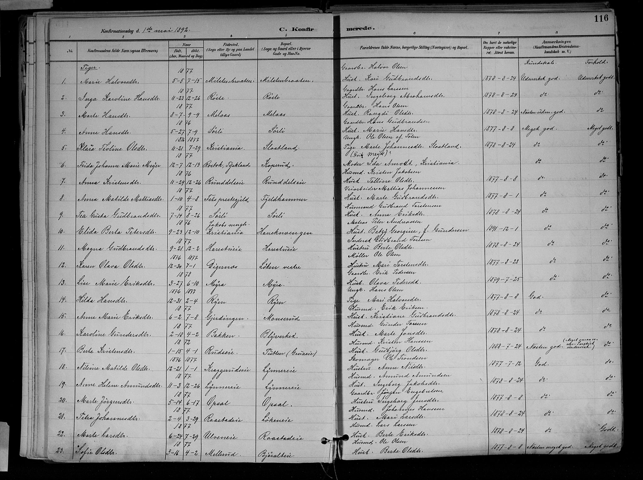 Jevnaker prestekontor, AV/SAH-PREST-116/H/Ha/Haa/L0010: Ministerialbok nr. 10, 1891-1906, s. 116
