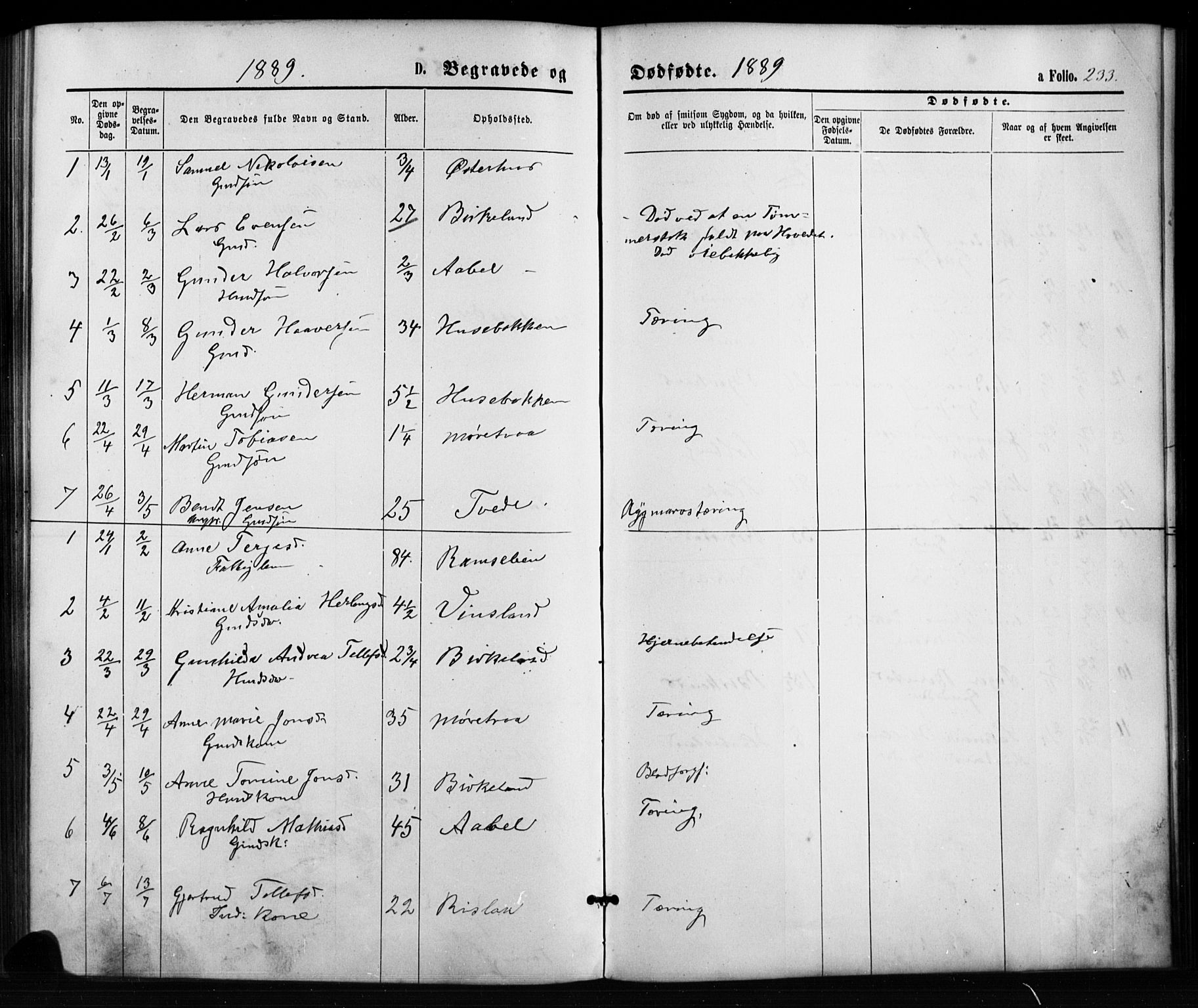Birkenes sokneprestkontor, AV/SAK-1111-0004/F/Fb/L0003: Klokkerbok nr. B 3, 1876-1892, s. 233