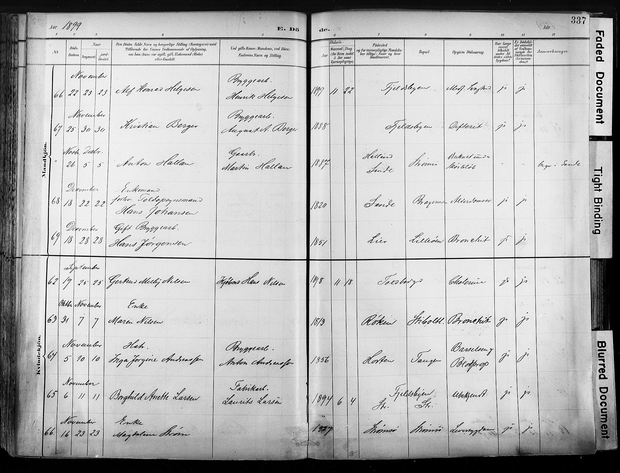 Strømsø kirkebøker, AV/SAKO-A-246/G/Ga/L0003: Klokkerbok nr. 3, 1894-1904, s. 337