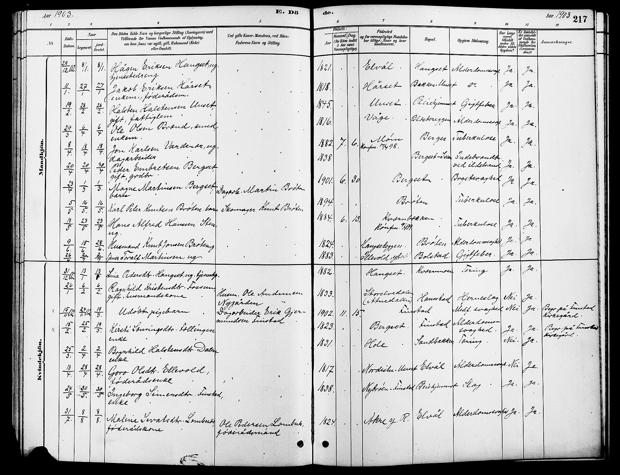 Rendalen prestekontor, SAH/PREST-054/H/Ha/Hab/L0003: Klokkerbok nr. 3, 1879-1904, s. 217