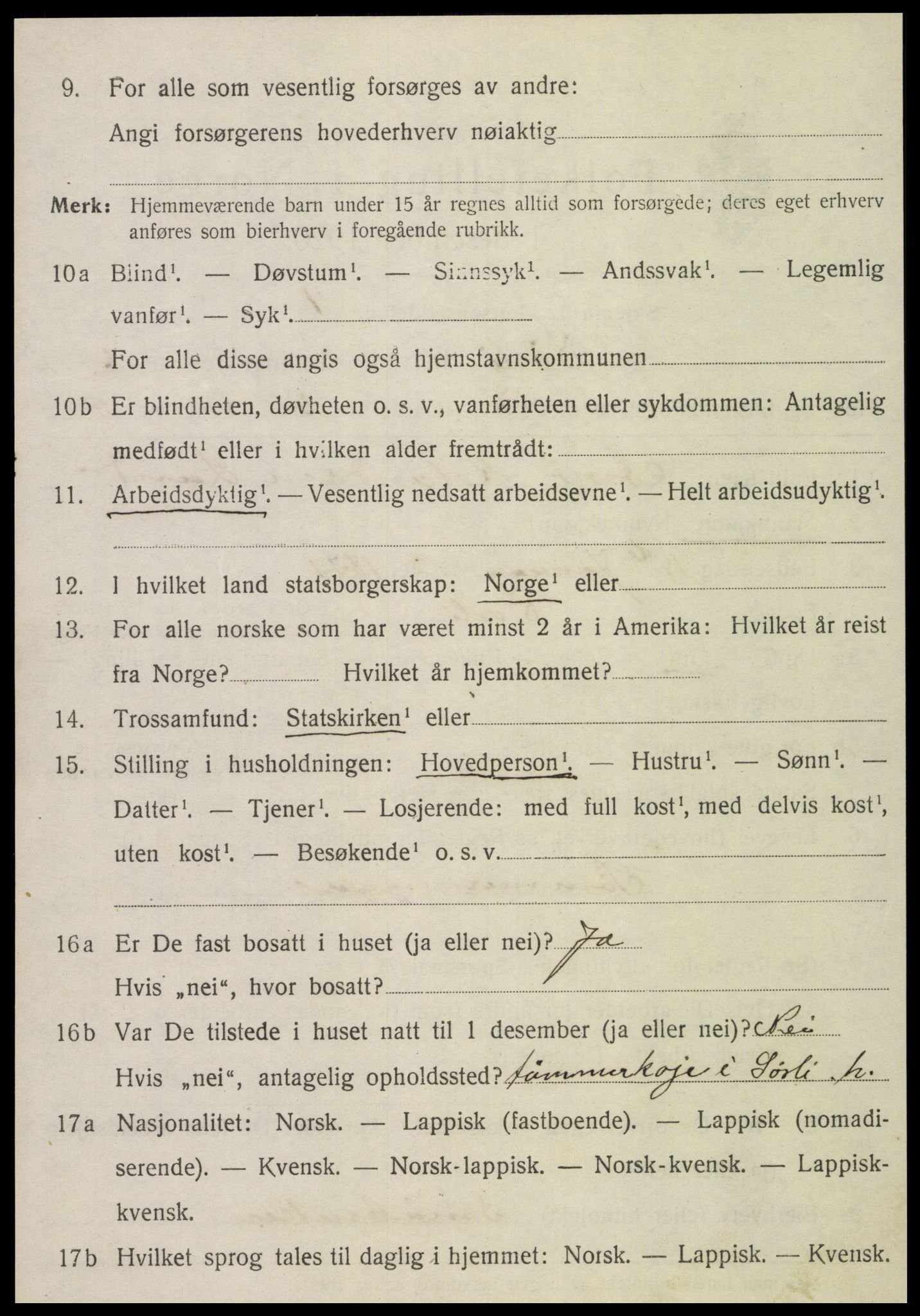 SAT, Folketelling 1920 for 1737 Sørli herred, 1920, s. 1054