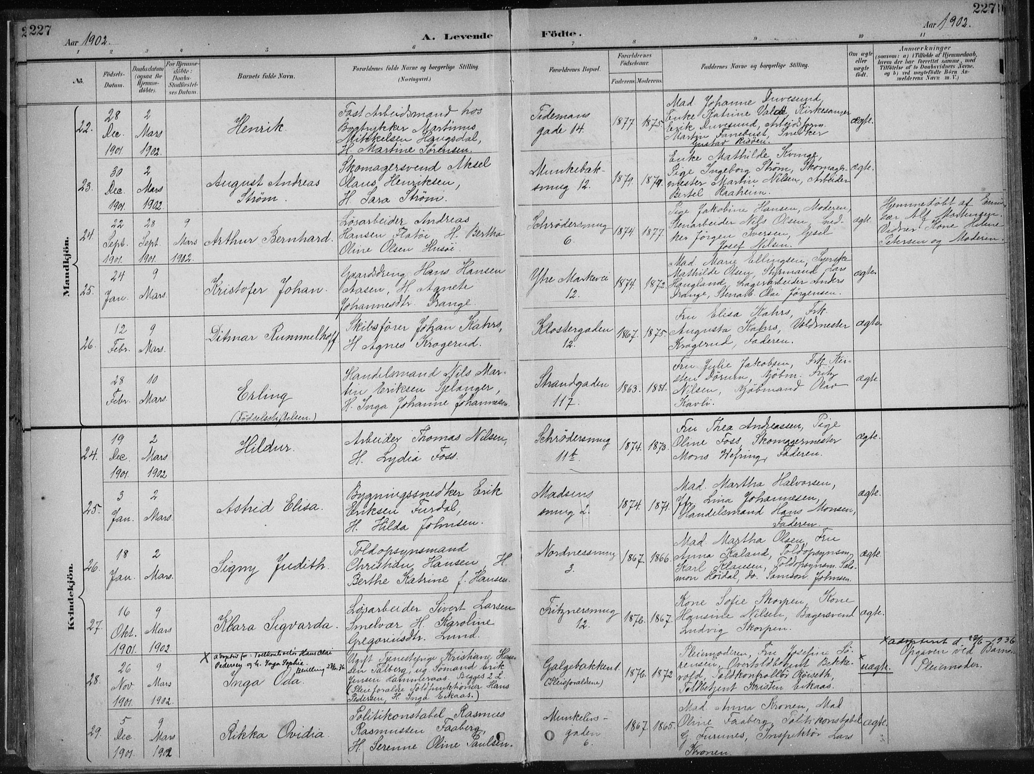 Nykirken Sokneprestembete, AV/SAB-A-77101/H/Haa/L0018: Ministerialbok nr. B 6, 1895-1903, s. 227