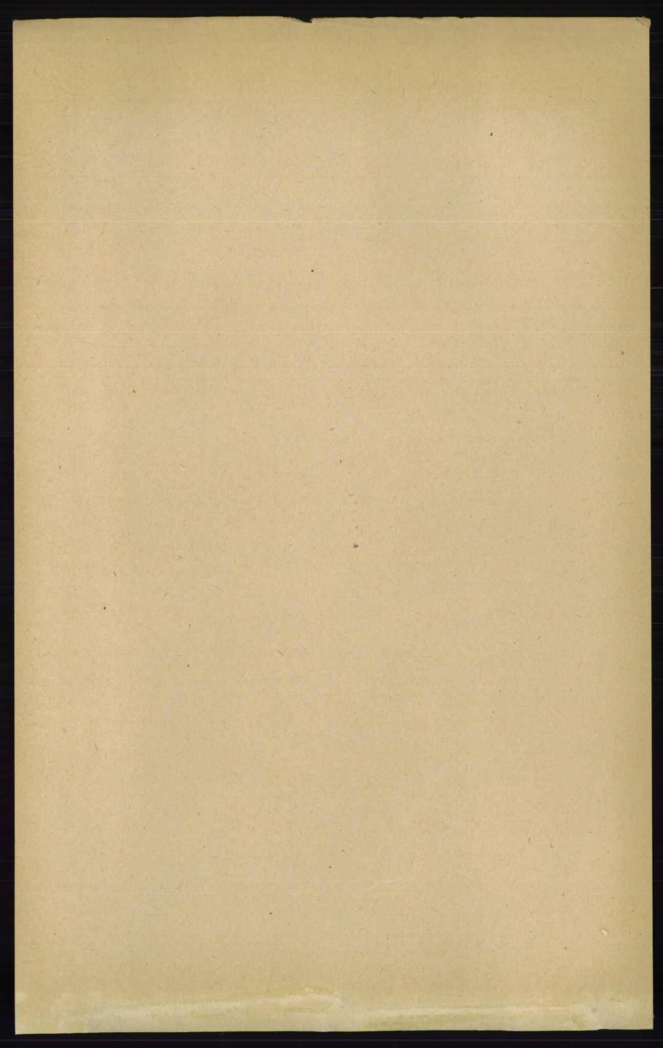 RA, Folketelling 1891 for 0915 Dypvåg herred, 1891, s. 1364