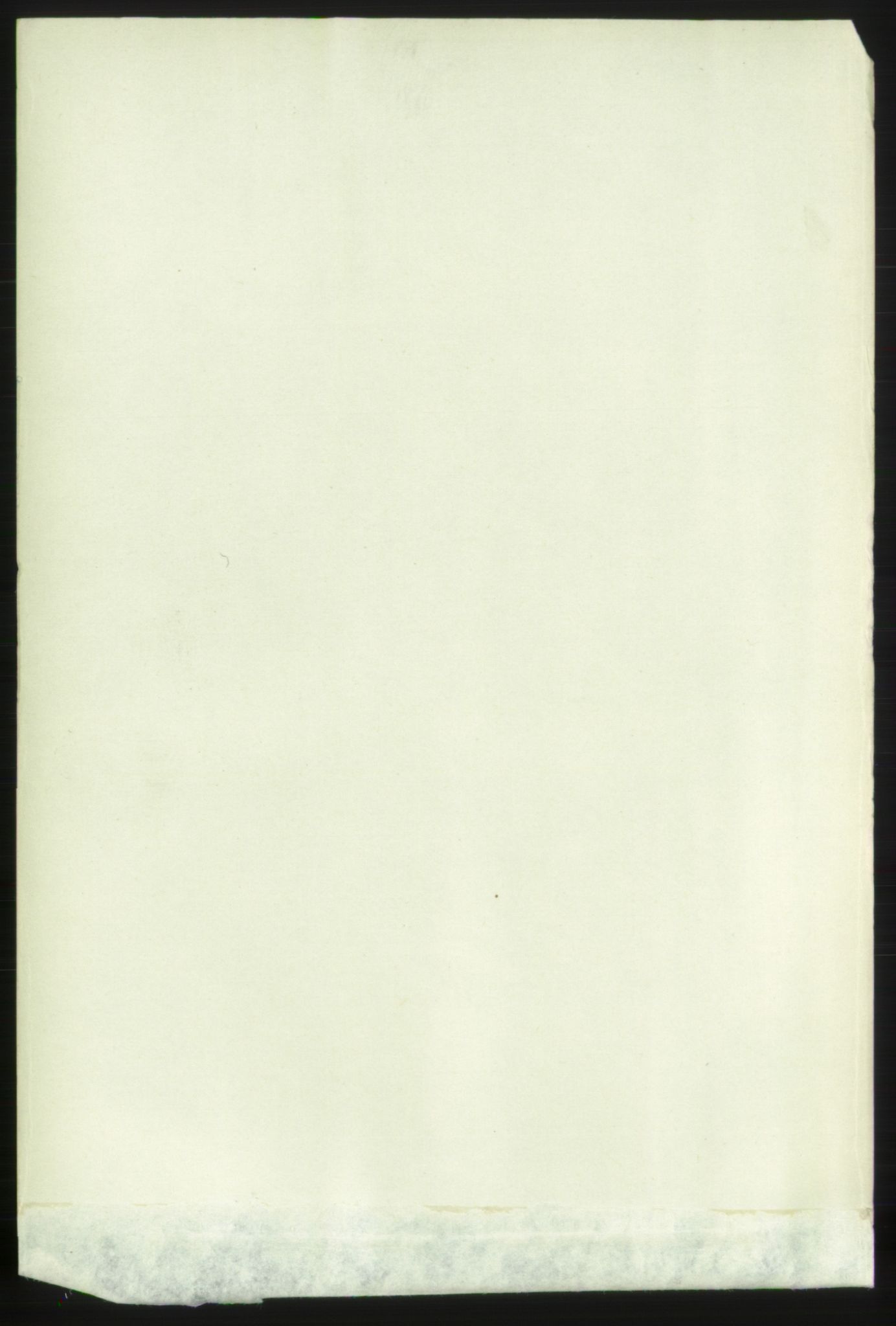 RA, Folketelling 1891 for 0707 Larvik kjøpstad, 1891, s. 12336