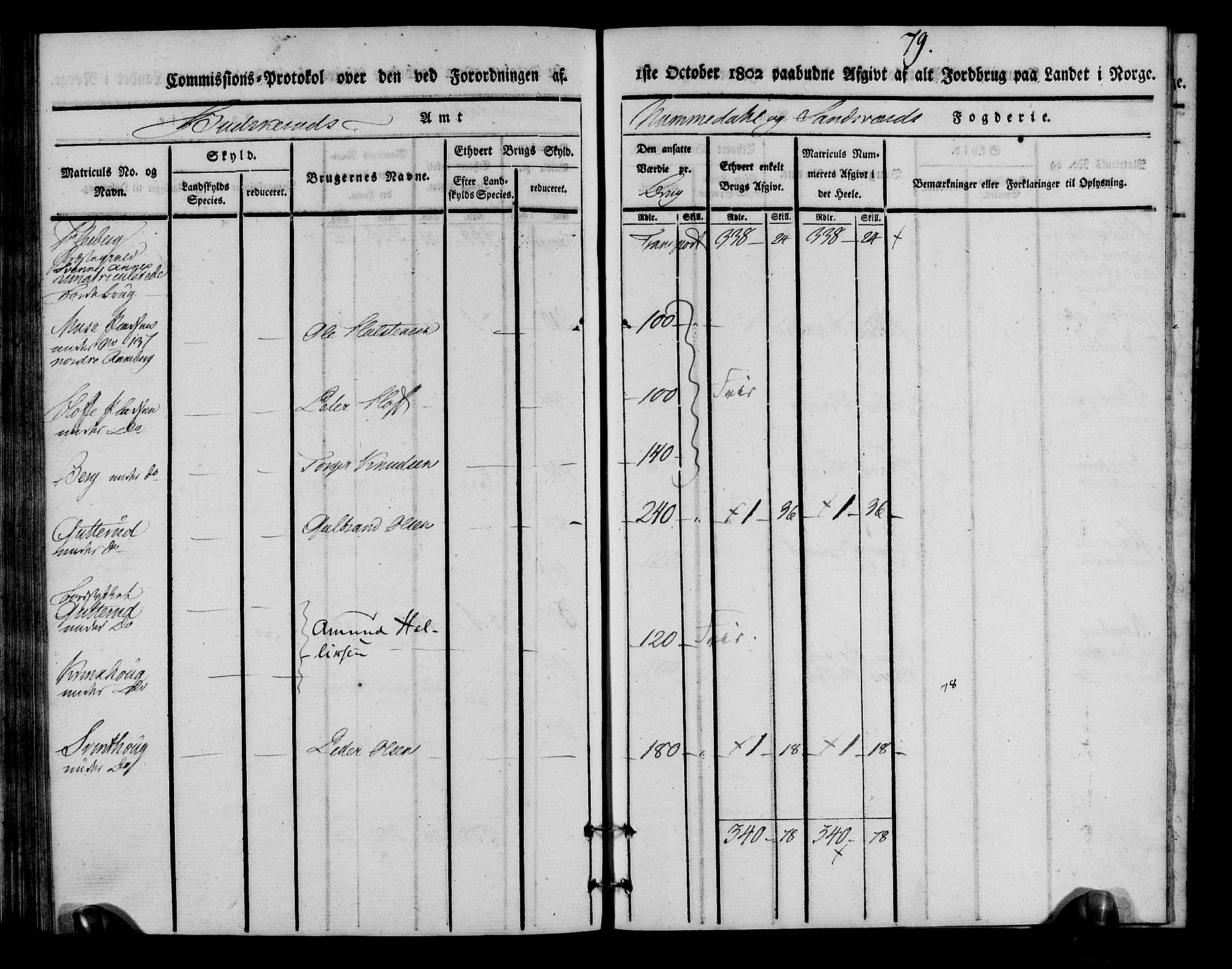 Rentekammeret inntil 1814, Realistisk ordnet avdeling, AV/RA-EA-4070/N/Ne/Nea/L0055: Numedal og Sandsvær fogderi. Kommisjonsprotokoll for Flesberg prestegjeld, 1803, s. 80