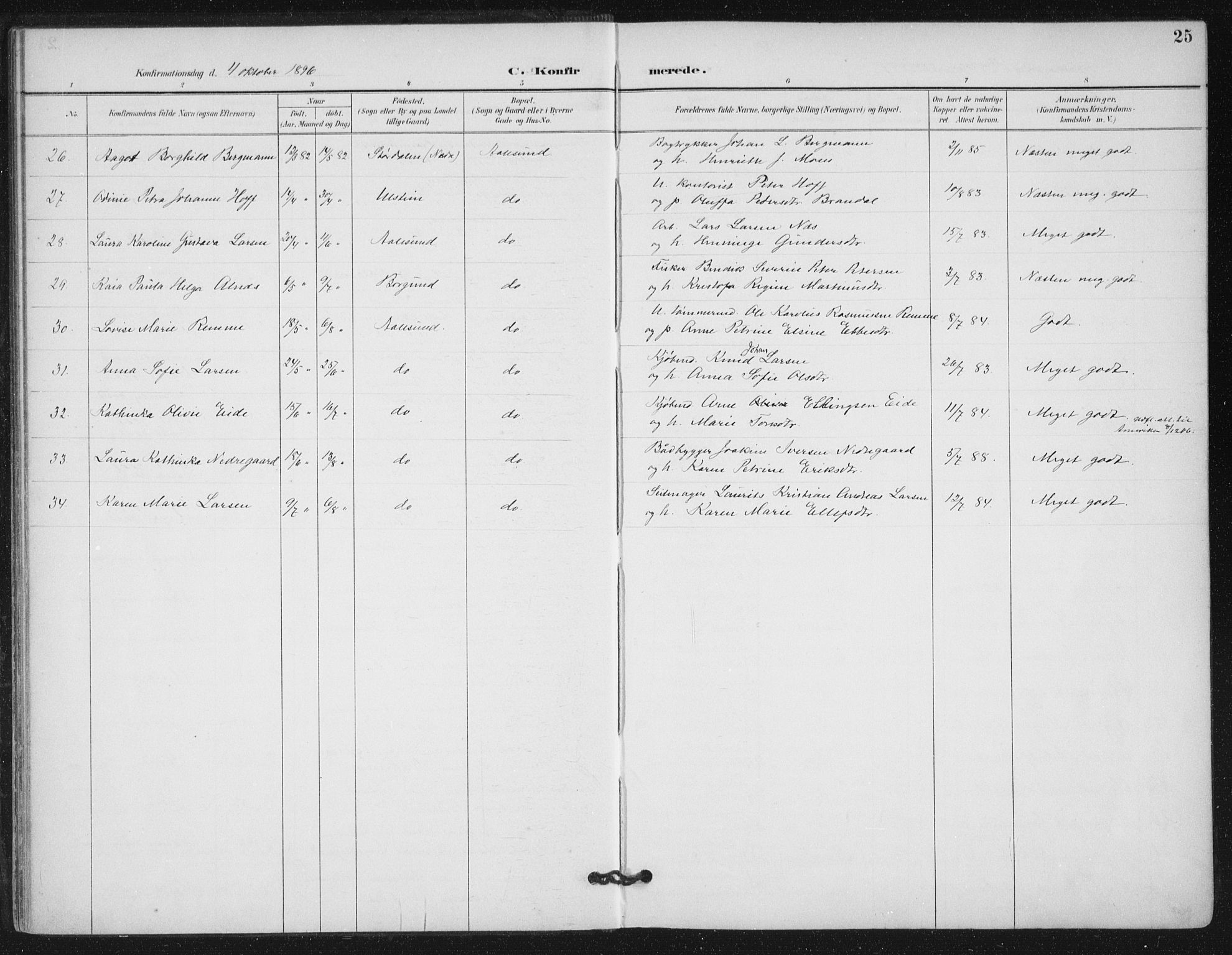 Ministerialprotokoller, klokkerbøker og fødselsregistre - Møre og Romsdal, SAT/A-1454/529/L0457: Ministerialbok nr. 529A07, 1894-1903, s. 25