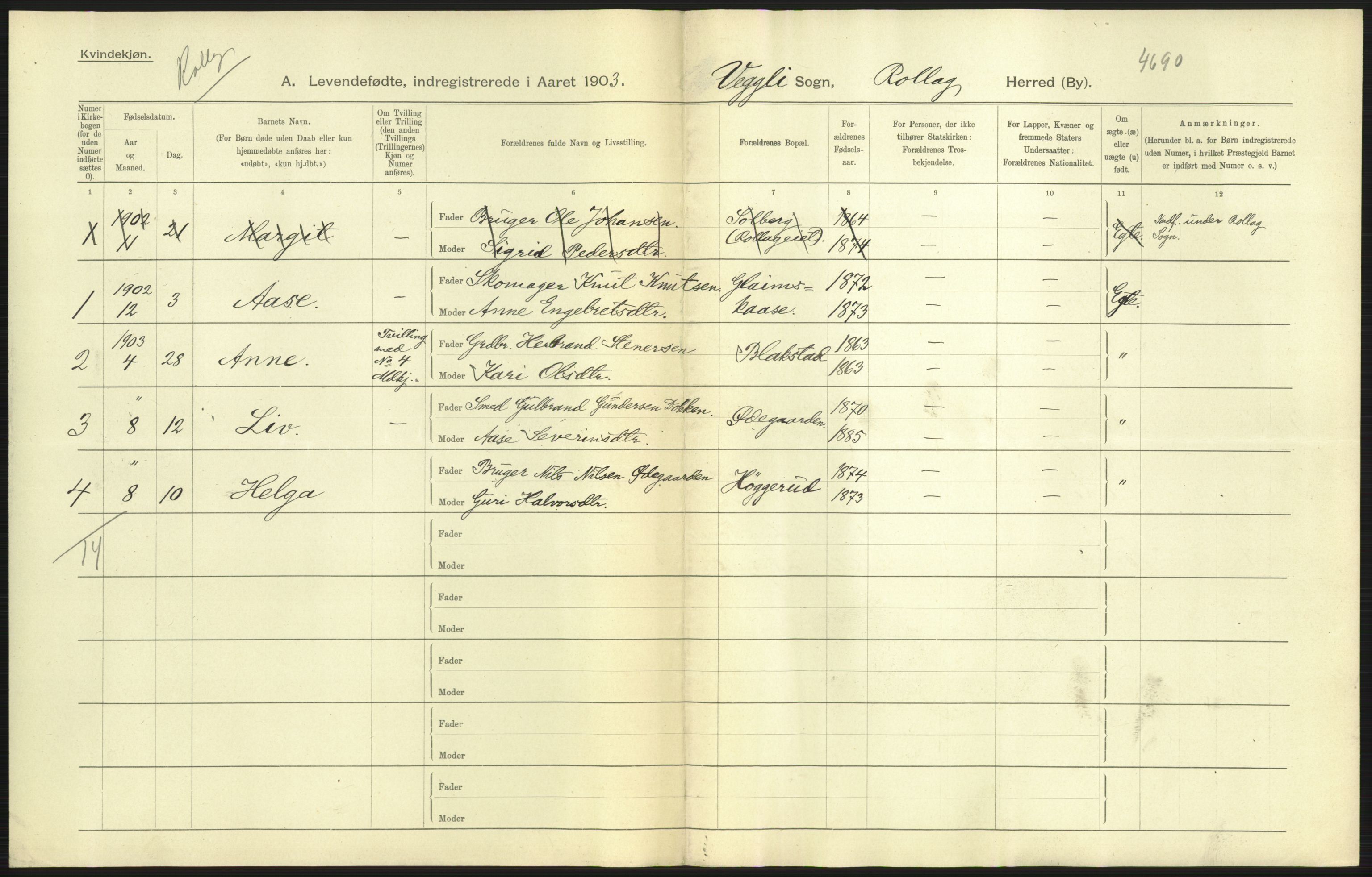 Statistisk sentralbyrå, Sosiodemografiske emner, Befolkning, AV/RA-S-2228/D/Df/Dfa/Dfaa/L0007: Buskeruds amt: Fødte, gifte, døde, 1903, s. 17