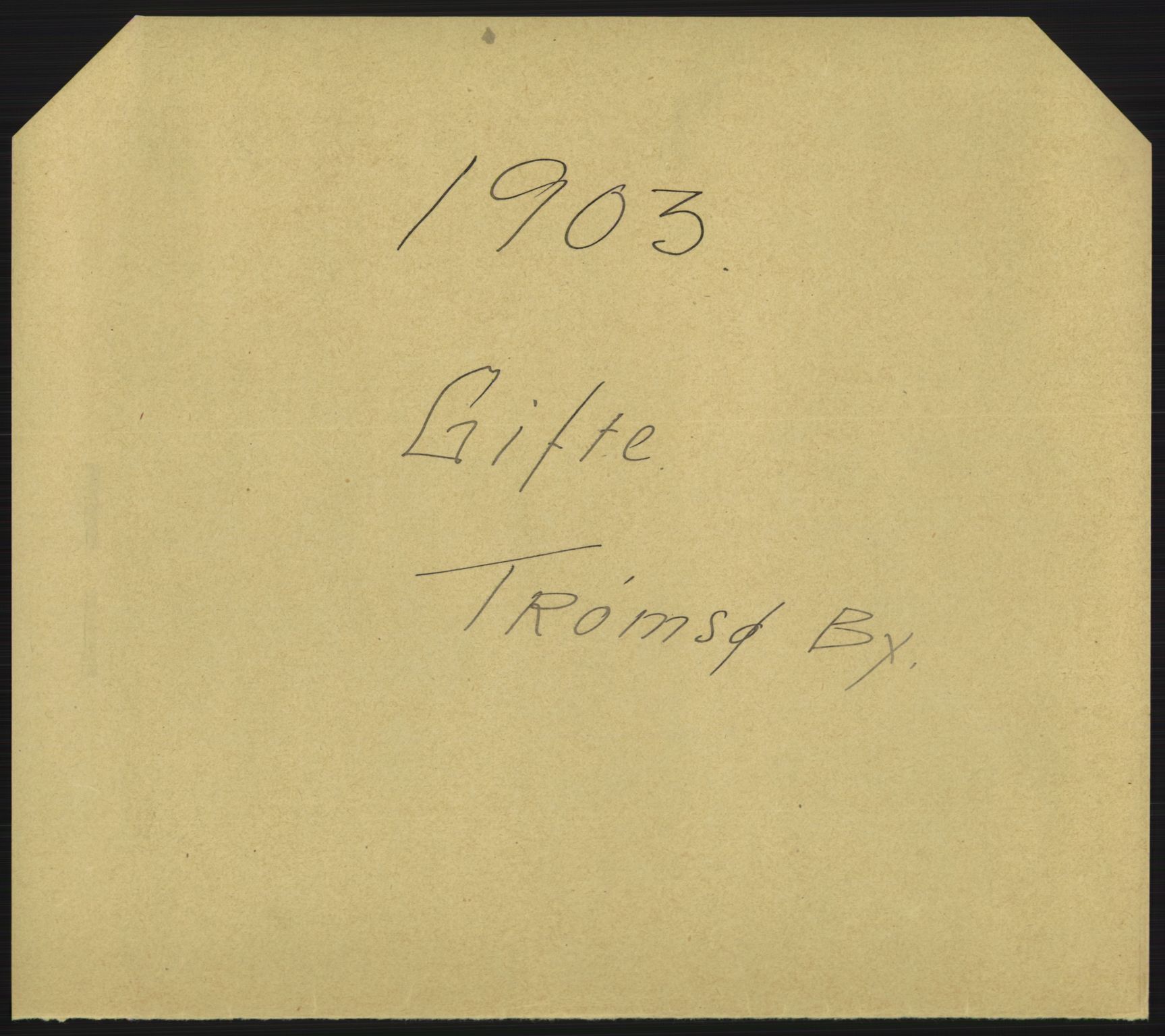 Statistisk sentralbyrå, Sosiodemografiske emner, Befolkning, RA/S-2228/D/Df/Dfa/Dfaa/L0021: Tromsø amt: Fødte, gifte, døde., 1903, s. 369