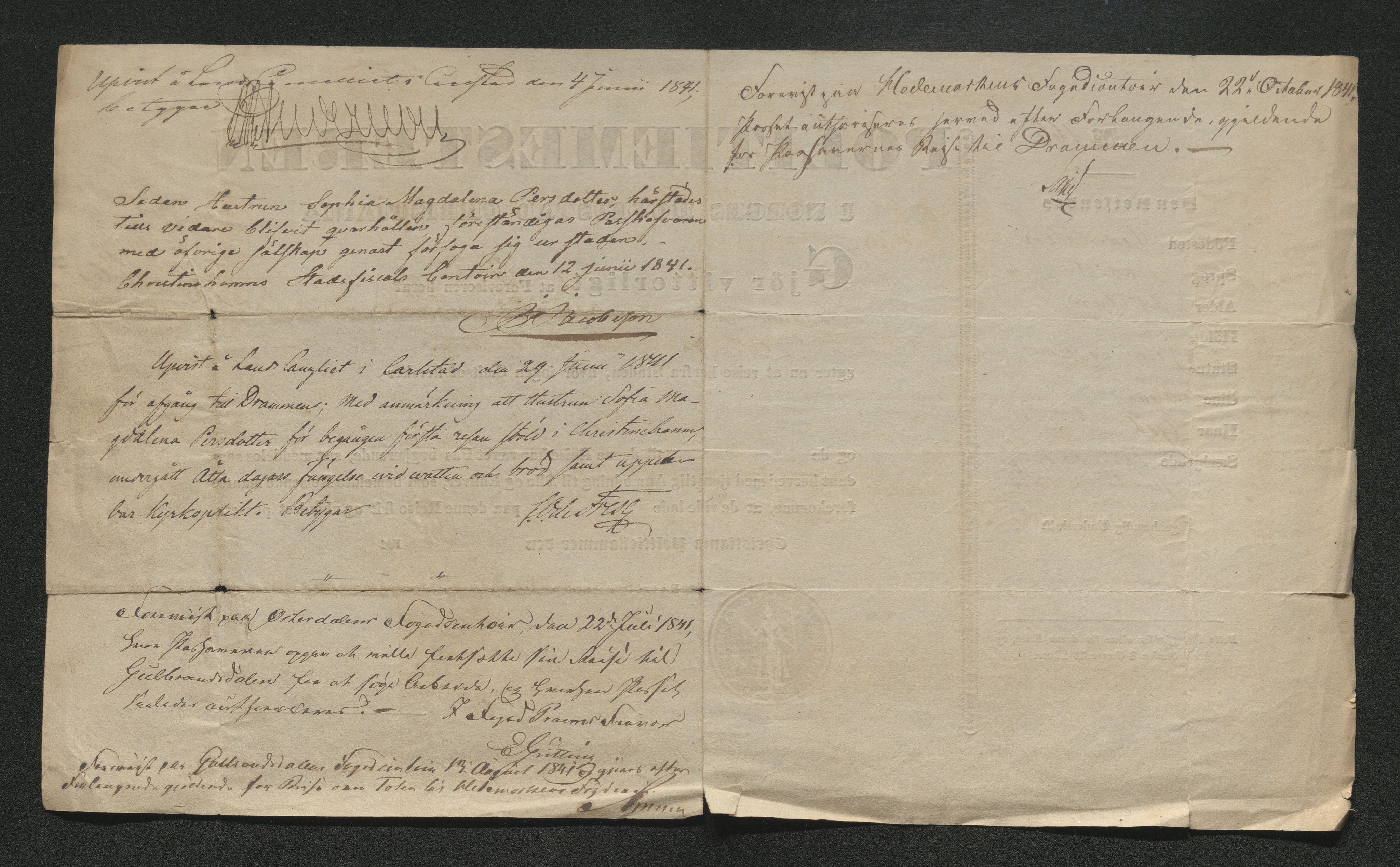 Drammen politikammer, AV/SAKO-A-623/I/Ia/Iab/L0006: Innleverte pass, 1841-1842, s. 289