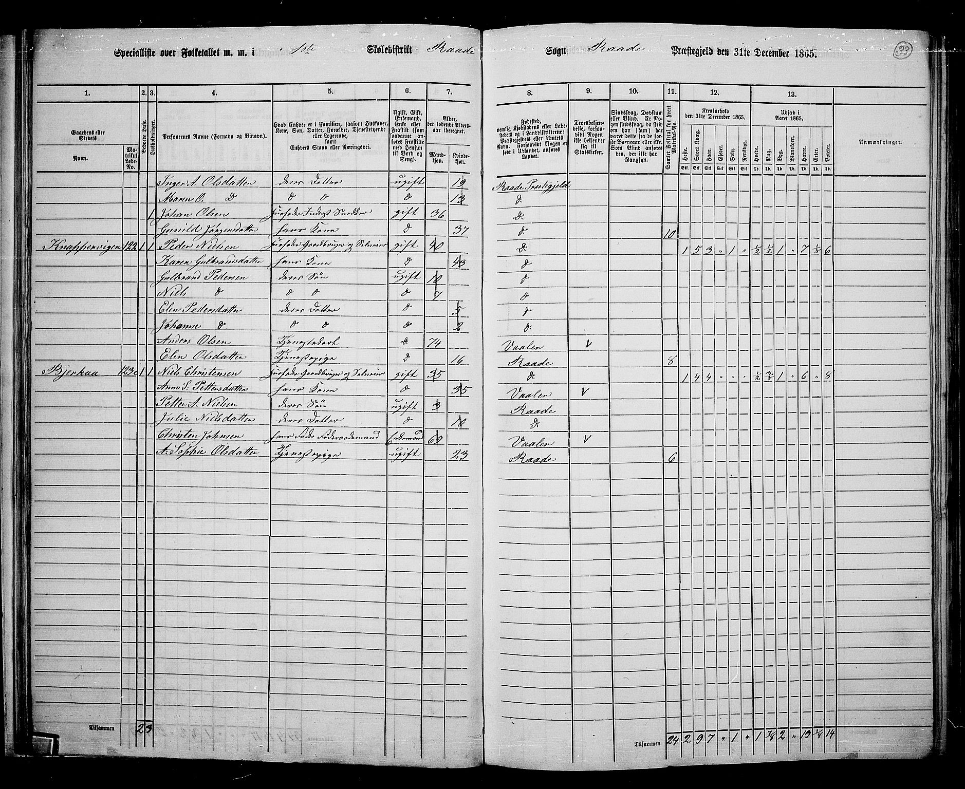 RA, Folketelling 1865 for 0135P Råde prestegjeld, 1865, s. 31