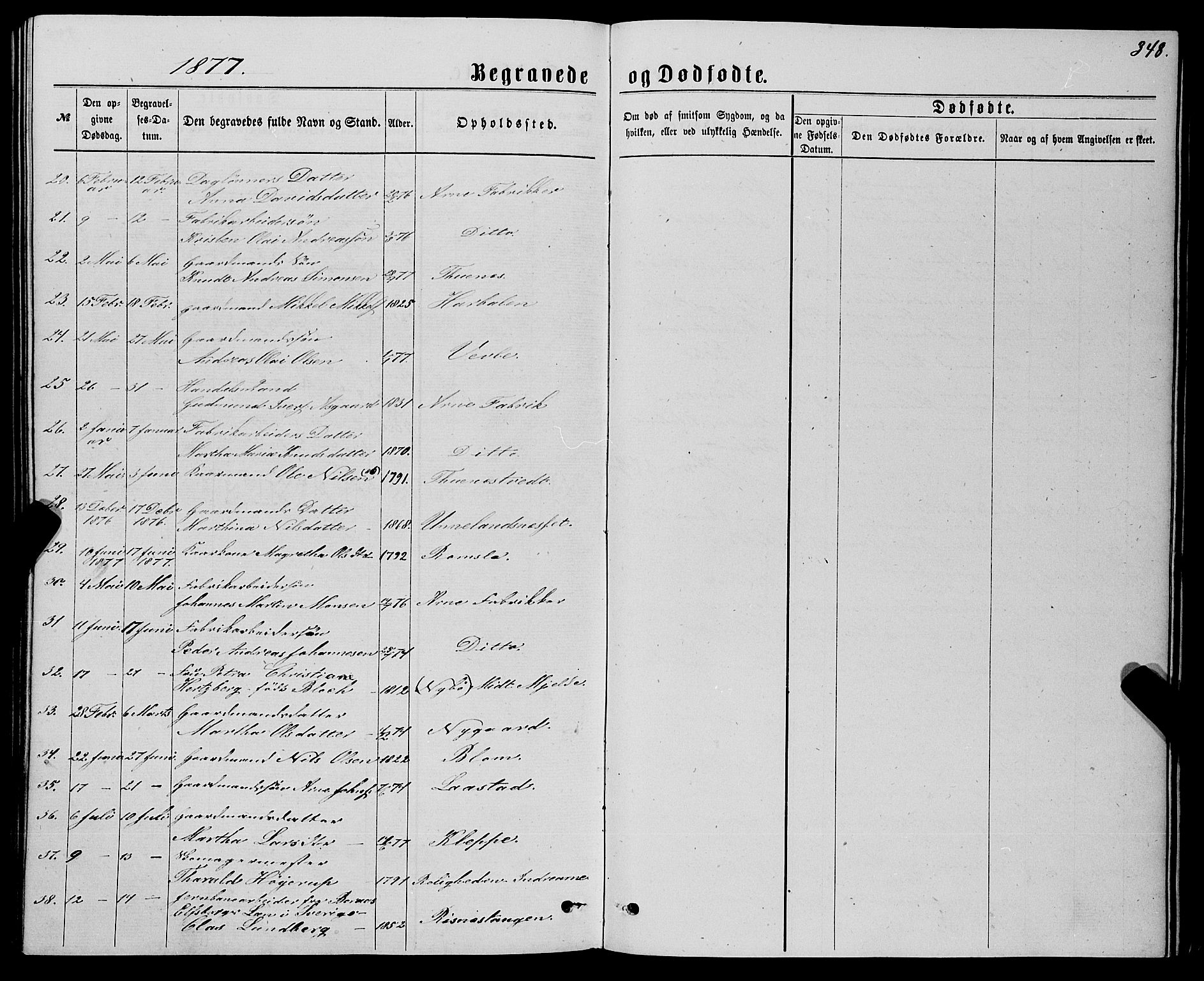 Haus sokneprestembete, AV/SAB-A-75601/H/Haa: Ministerialbok nr. A 18, 1871-1877, s. 348