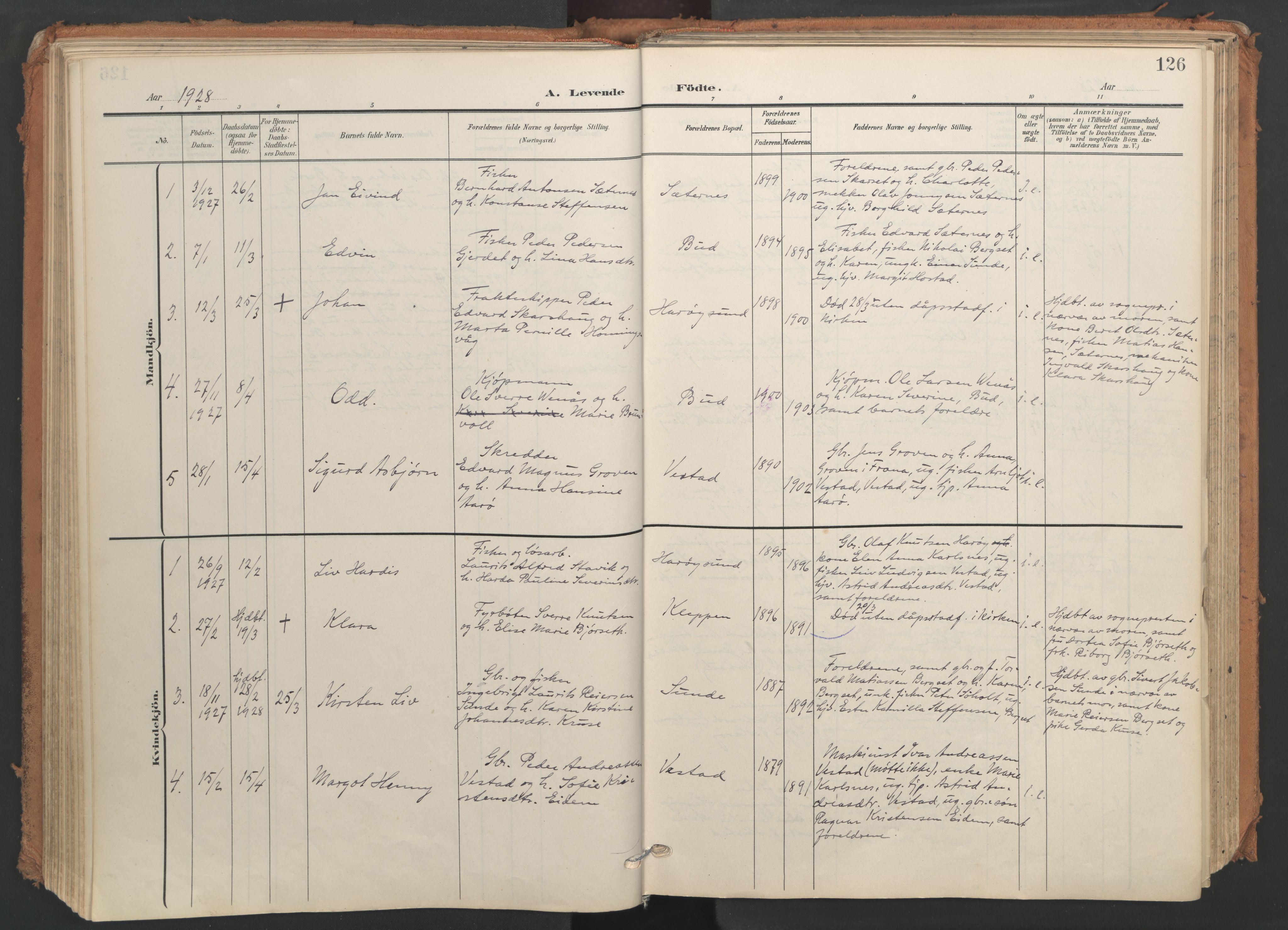 Ministerialprotokoller, klokkerbøker og fødselsregistre - Møre og Romsdal, SAT/A-1454/566/L0771: Ministerialbok nr. 566A10, 1904-1929, s. 126