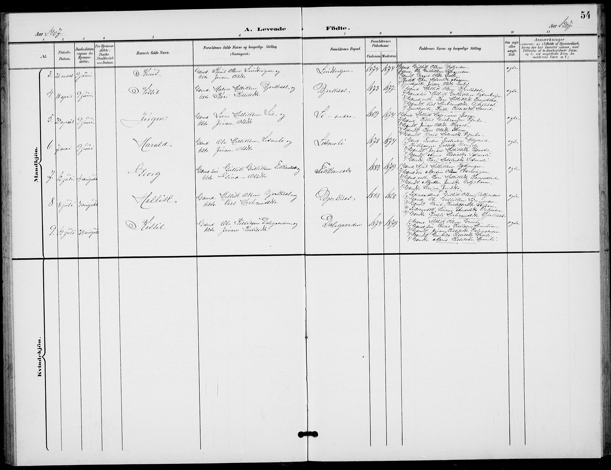 Flesberg kirkebøker, AV/SAKO-A-18/G/Ga/L0005: Klokkerbok nr. I 5, 1899-1908, s. 54