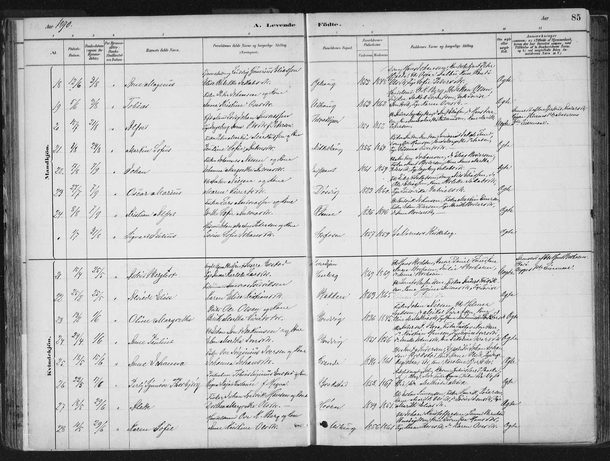 Ministerialprotokoller, klokkerbøker og fødselsregistre - Sør-Trøndelag, SAT/A-1456/659/L0739: Ministerialbok nr. 659A09, 1879-1893, s. 85
