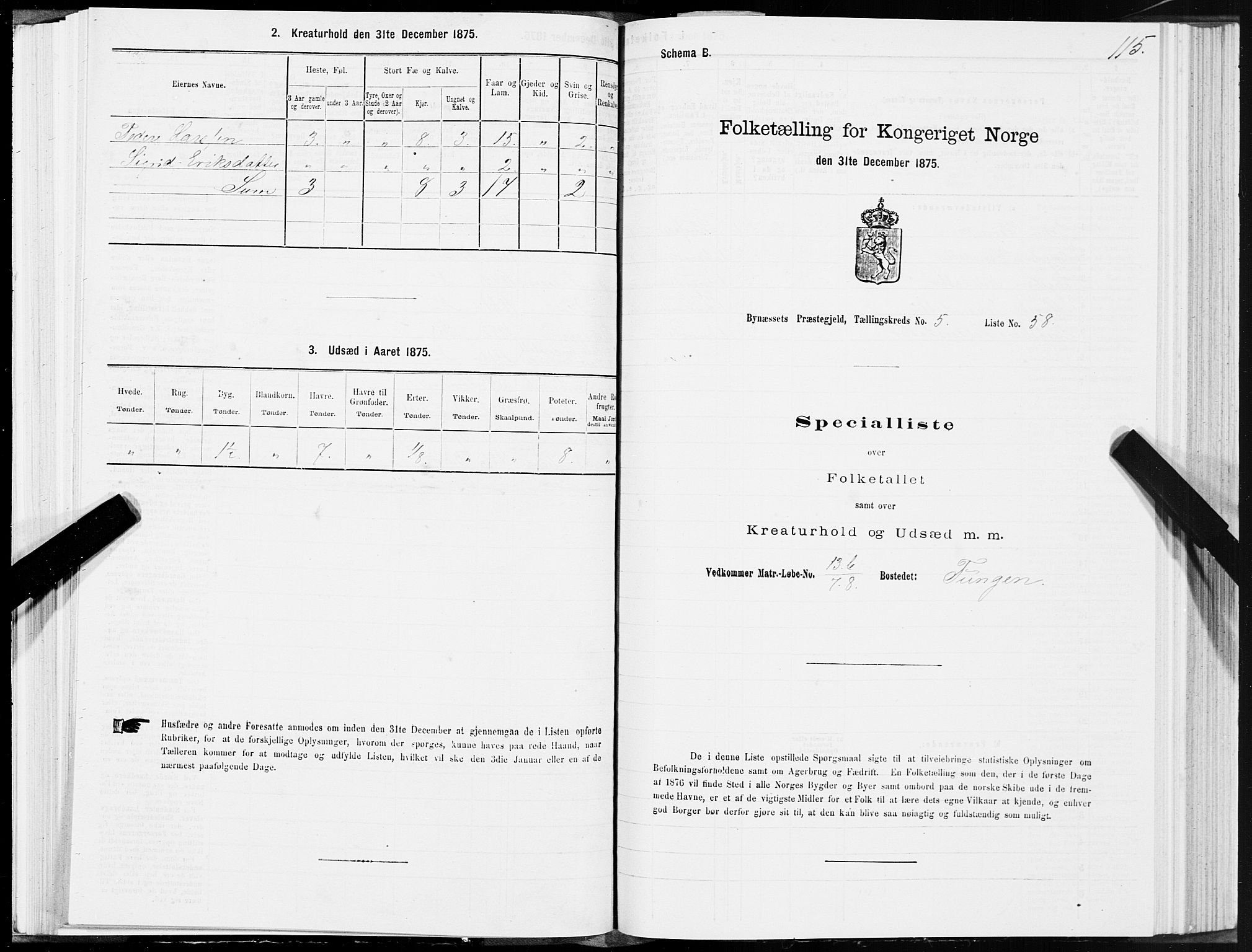 SAT, Folketelling 1875 for 1655P Byneset prestegjeld, 1875, s. 3115