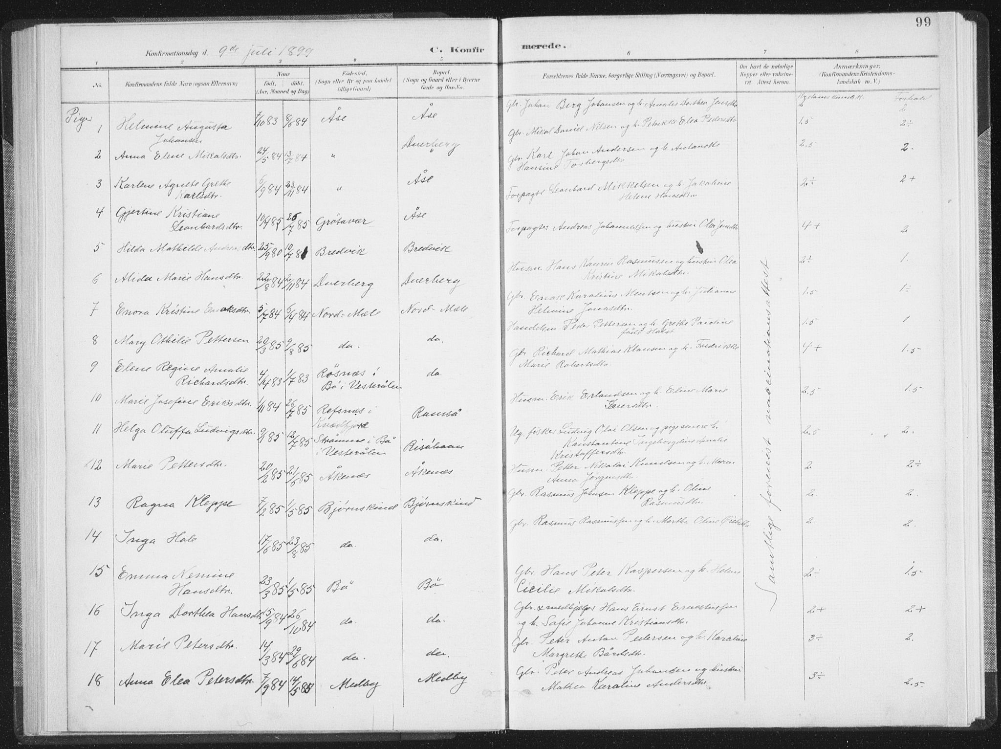 Ministerialprotokoller, klokkerbøker og fødselsregistre - Nordland, SAT/A-1459/897/L1400: Ministerialbok nr. 897A07, 1897-1908, s. 99