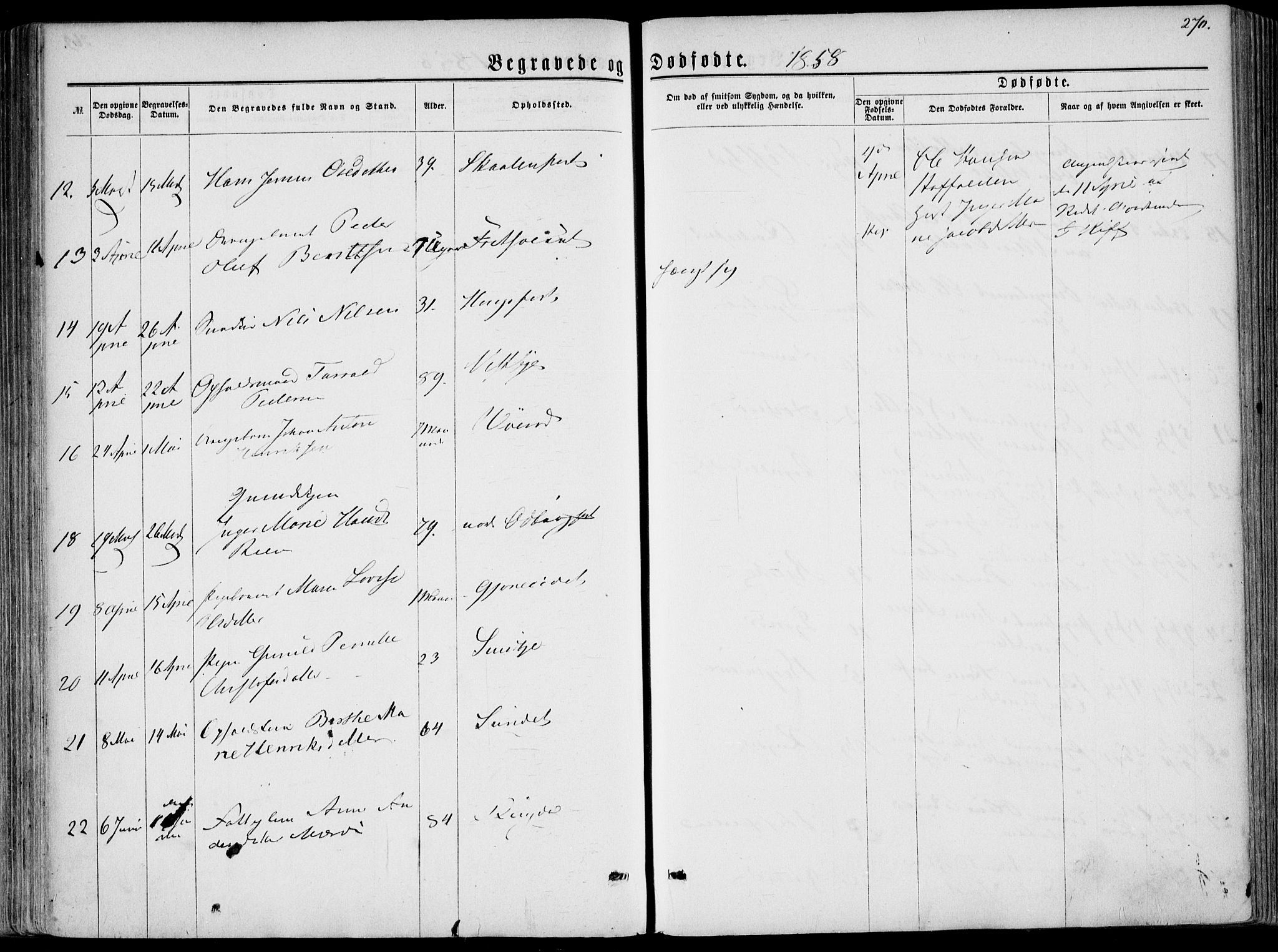 Hedrum kirkebøker, AV/SAKO-A-344/F/Fa/L0007: Ministerialbok nr. I 7, 1857-1868, s. 270