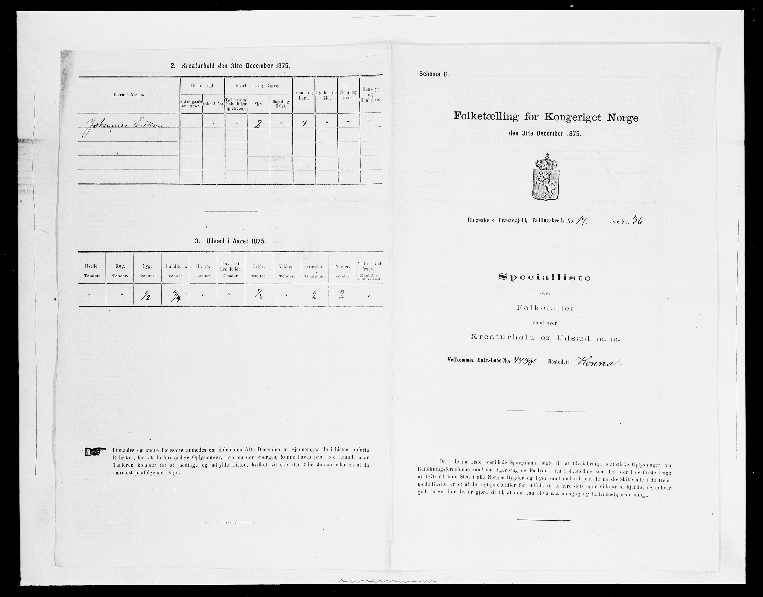 SAH, Folketelling 1875 for 0412P Ringsaker prestegjeld, 1875, s. 3464