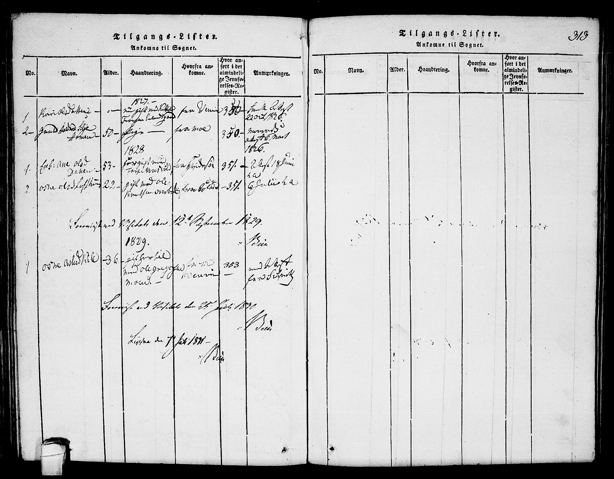Seljord kirkebøker, AV/SAKO-A-20/F/Fc/L0001: Ministerialbok nr. III 1, 1815-1831, s. 313