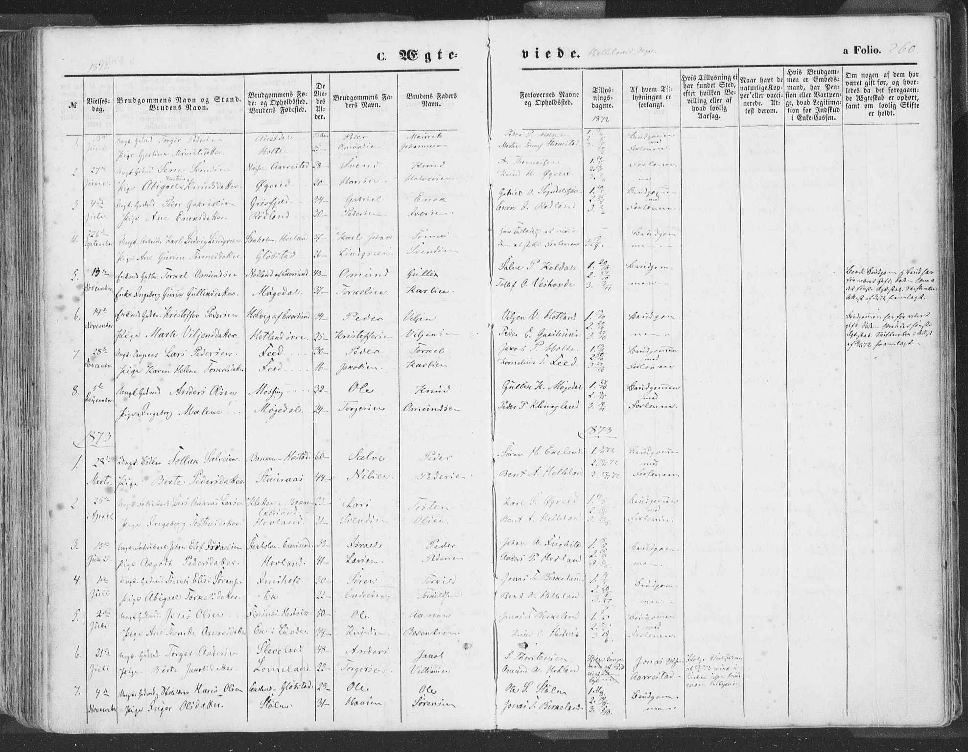 Helleland sokneprestkontor, SAST/A-101810: Ministerialbok nr. A 7.1, 1863-1886, s. 260