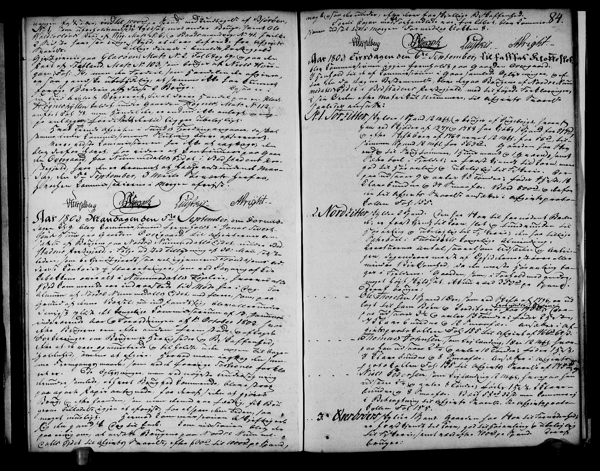 Rentekammeret inntil 1814, Realistisk ordnet avdeling, AV/RA-EA-4070/N/Ne/Nea/L0153: Namdalen fogderi. Deliberasjonsprotokoll, 1803, s. 85