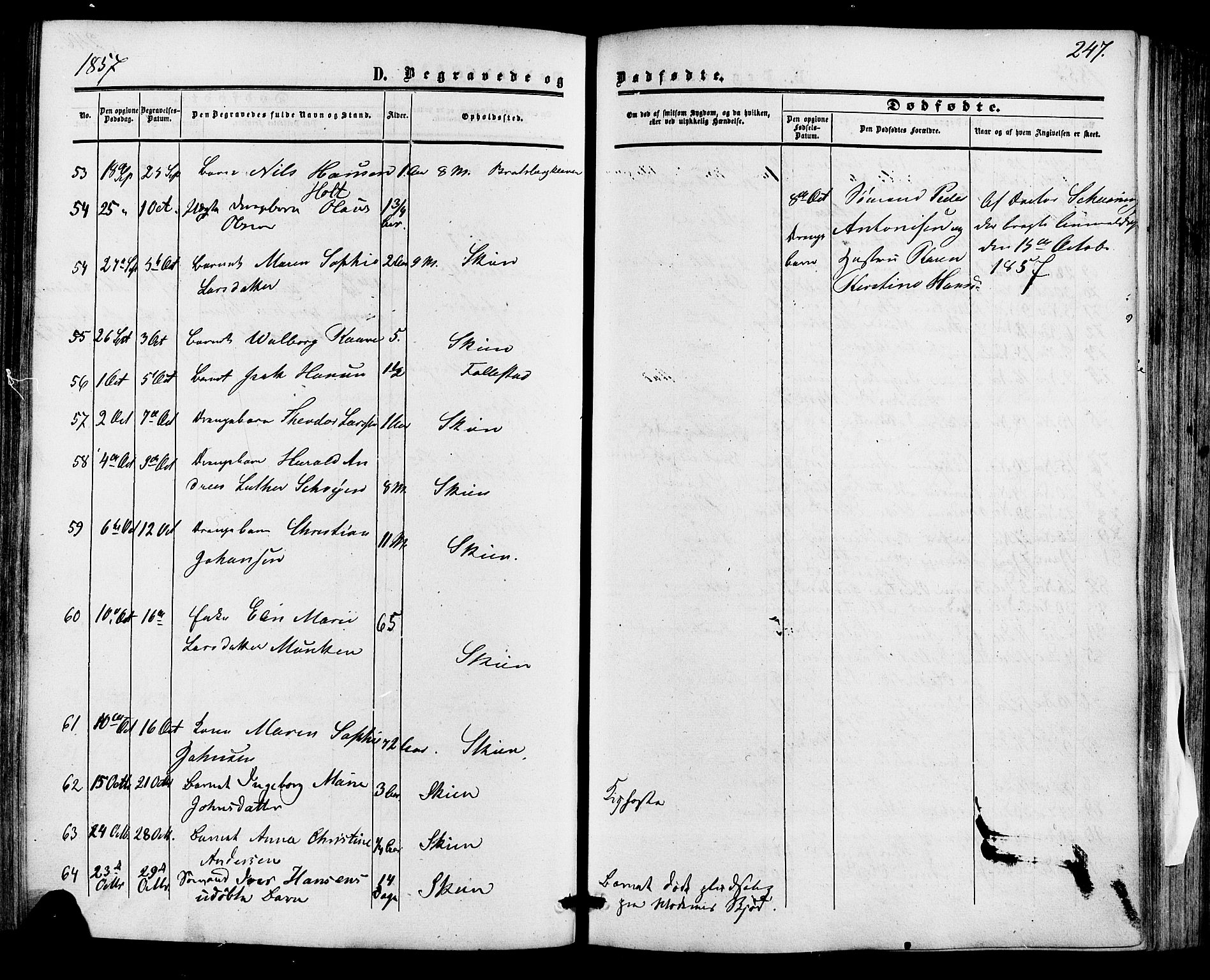 Skien kirkebøker, AV/SAKO-A-302/F/Fa/L0007: Ministerialbok nr. 7, 1856-1865, s. 247