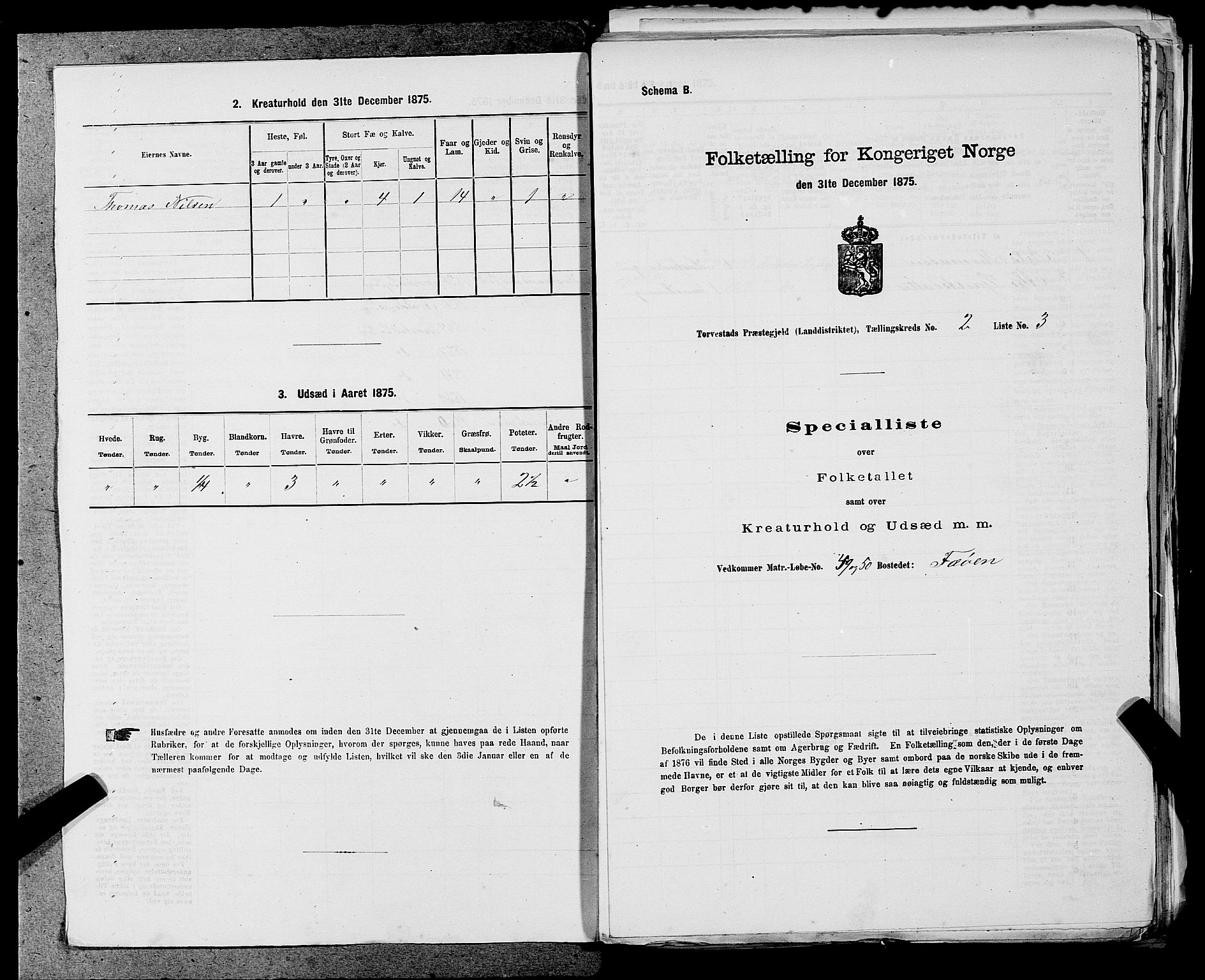 SAST, Folketelling 1875 for 1152L Torvastad prestegjeld, Torvastad sokn, Skåre sokn og Utsira sokn, 1875, s. 205
