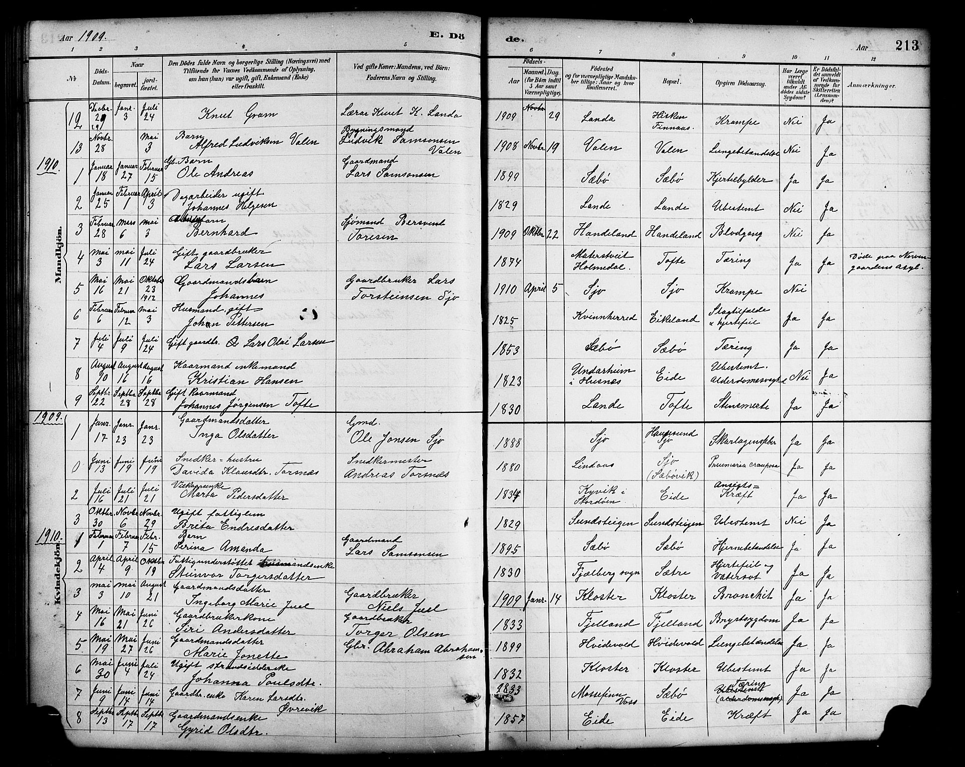 Fjelberg sokneprestembete, AV/SAB-A-75201/H/Hab: Klokkerbok nr. B 4, 1889-1919, s. 213