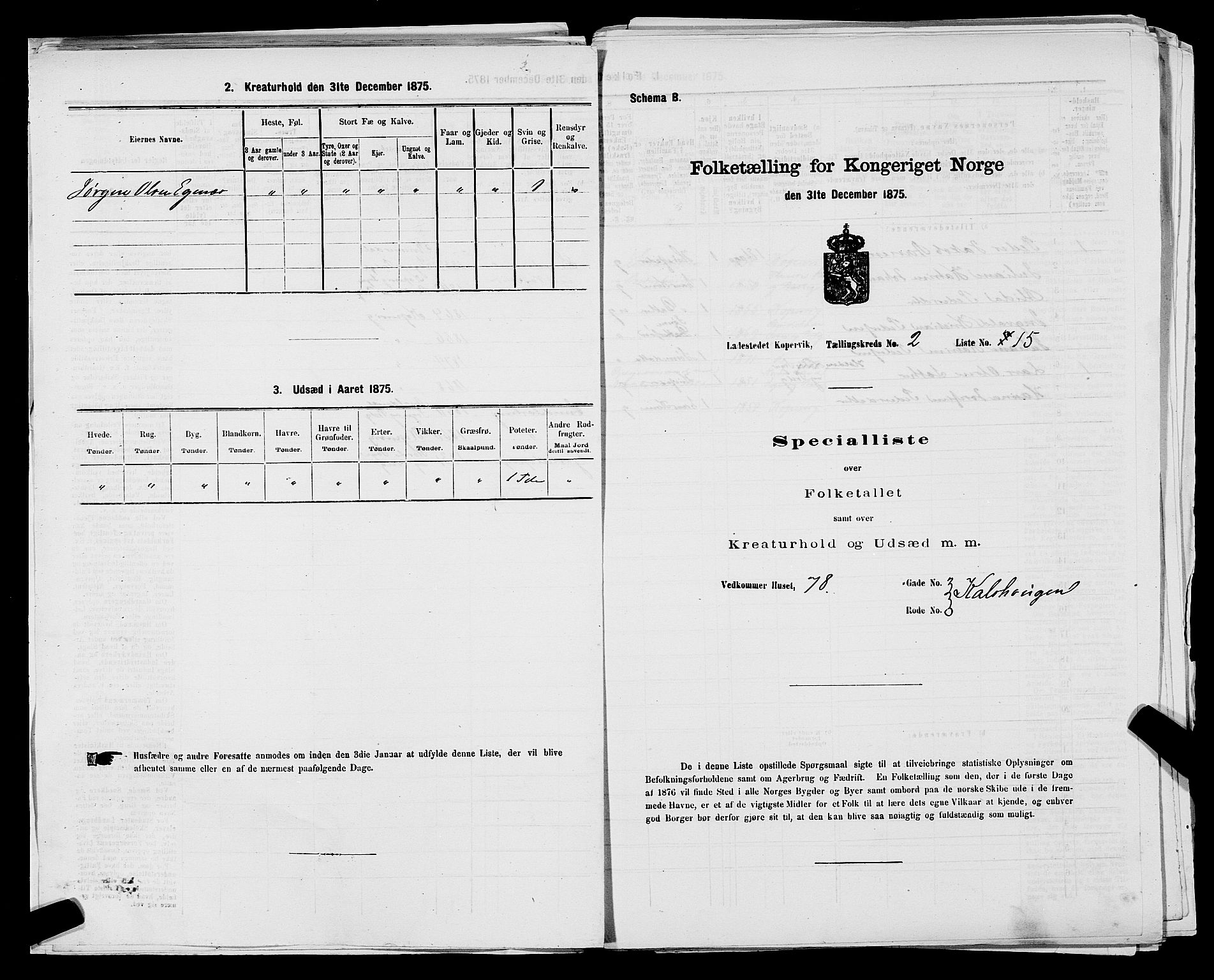 SAST, Folketelling 1875 for 1105B Avaldsnes prestegjeld, Kopervik ladested, 1875, s. 32