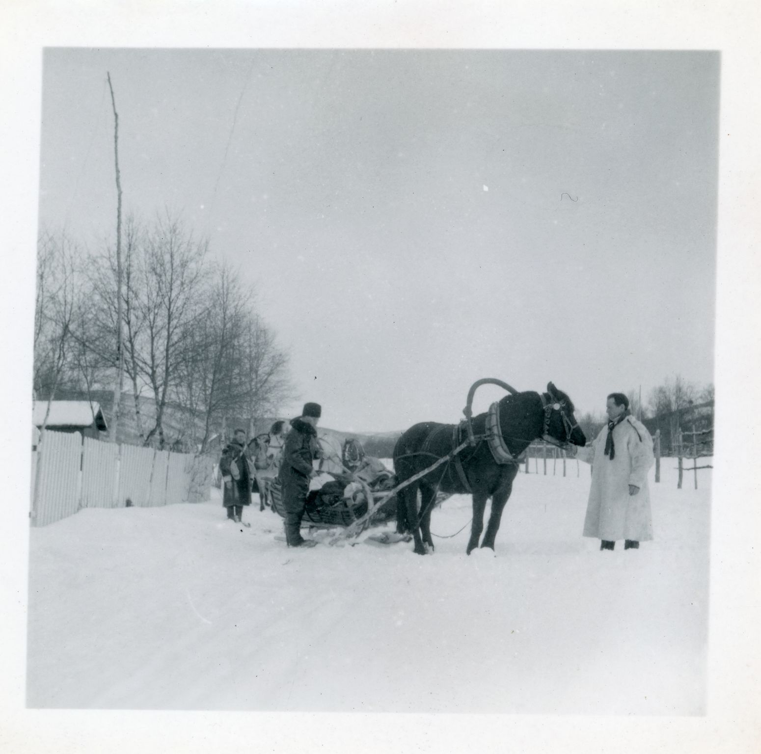 Politimester Thorstein Moe og Borgny Irene Moe, VAMU/A-0073/U/Ua, 1890-1970