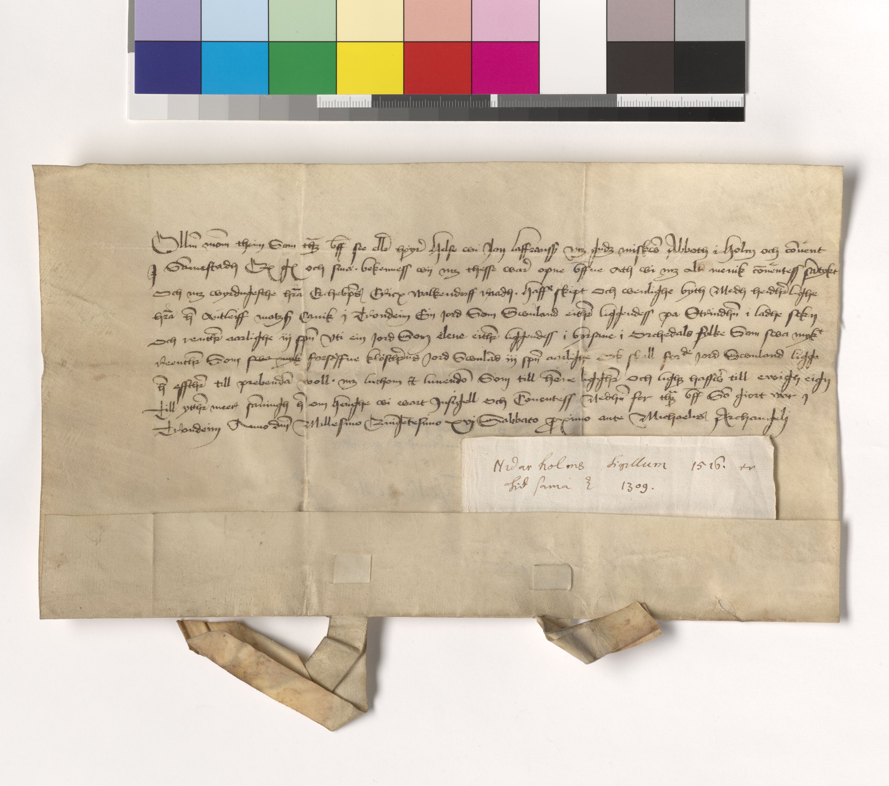 Riksarkivets diplomsamling, AV/RA-EA-5965/F05/L0062: NRA AM fasc. 18 nr. 10-12, 1515-1520, s. 6