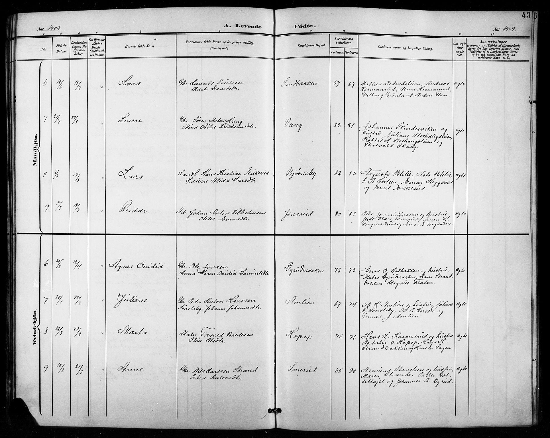 Vestre Toten prestekontor, AV/SAH-PREST-108/H/Ha/Hab/L0016: Klokkerbok nr. 16, 1901-1915, s. 43