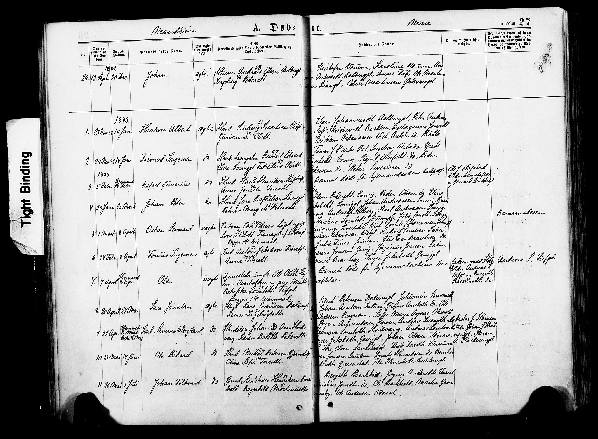 Ministerialprotokoller, klokkerbøker og fødselsregistre - Nord-Trøndelag, AV/SAT-A-1458/735/L0348: Ministerialbok nr. 735A09 /1, 1873-1883, s. 27